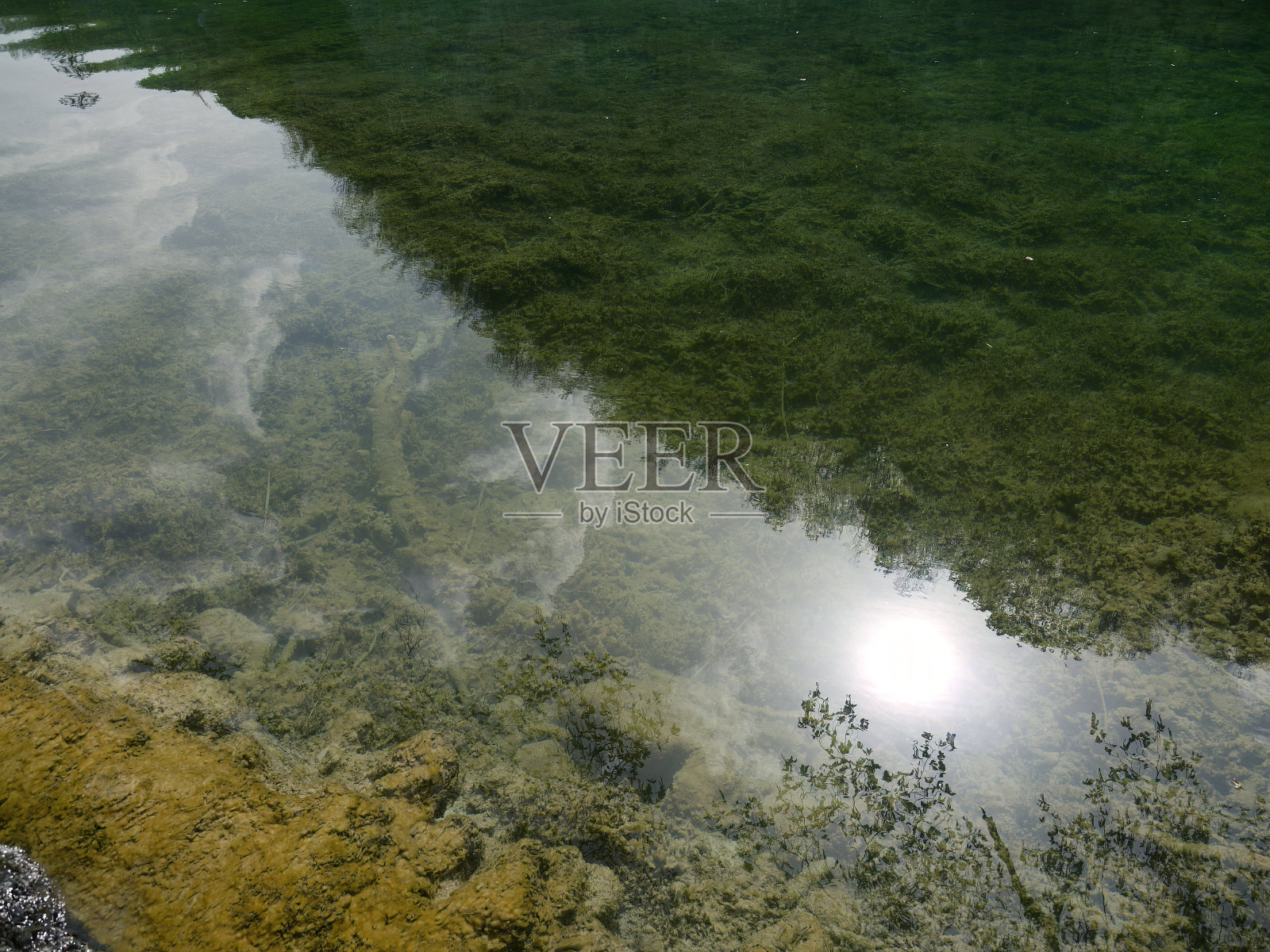 联合国教科文组织的普利特维采湖国家公园反射清澈的水，戏剧性的不寻常的风景，绿色的高山森林，生物多样性，远足径，自然背景照片摄影图片