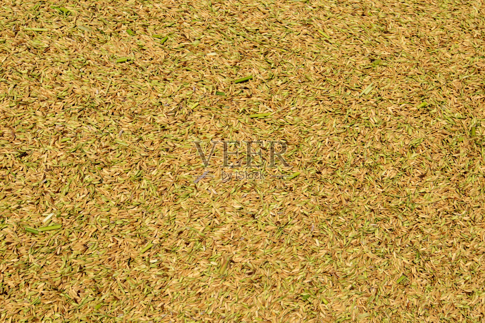 收获后的稻壳纹理照片摄影图片