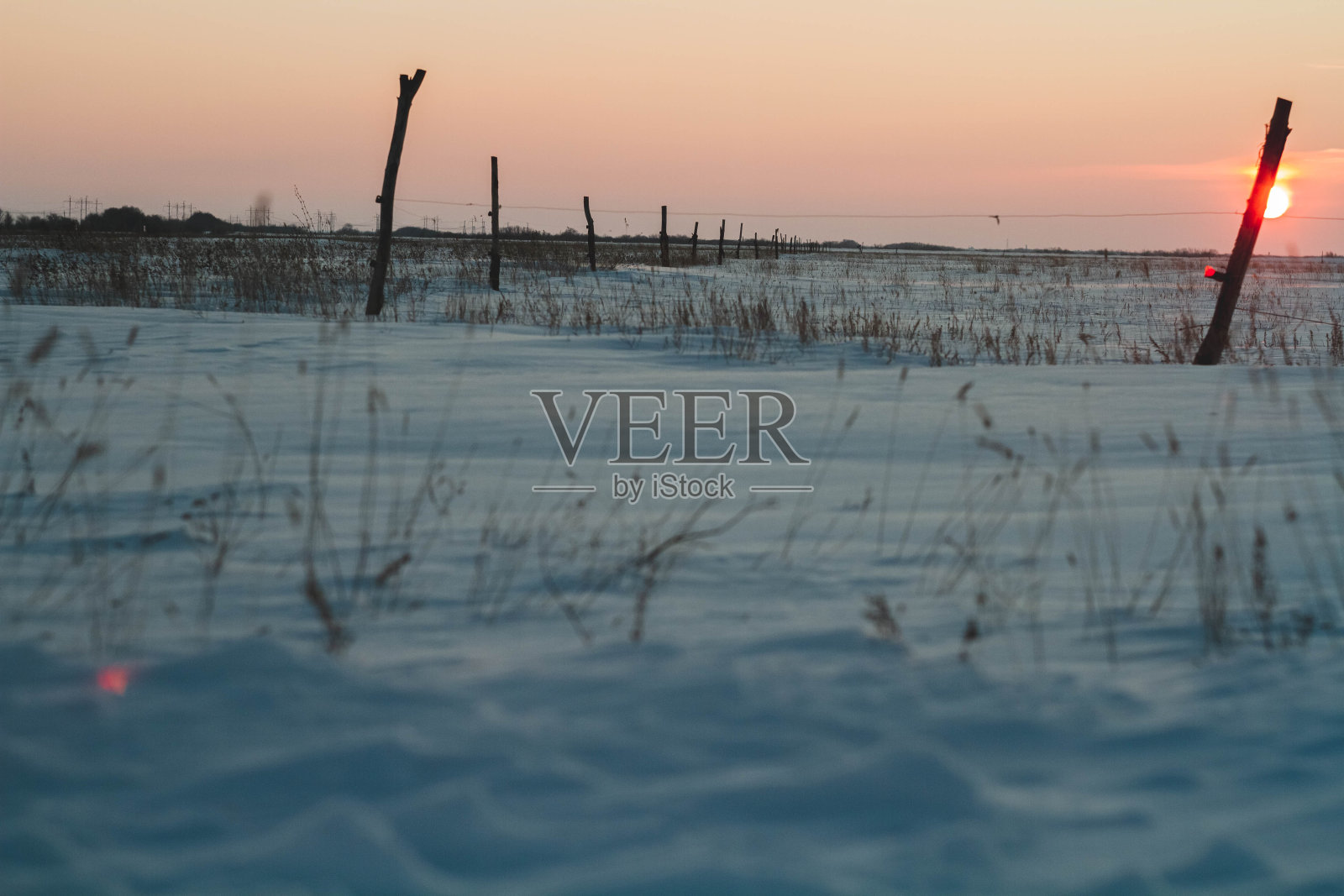 田野里霜冻的冬日夕阳。美丽的日落在白雪皑皑的沙漠。冰和太阳。照片摄影图片