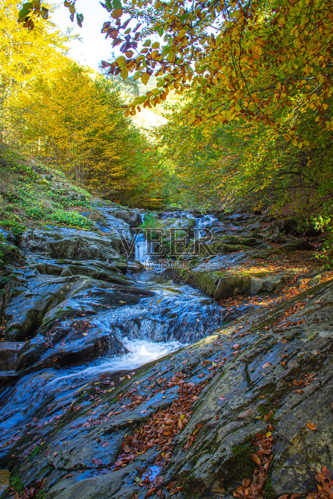 秋天的风景有瀑布在河上的森林。照片摄影图片