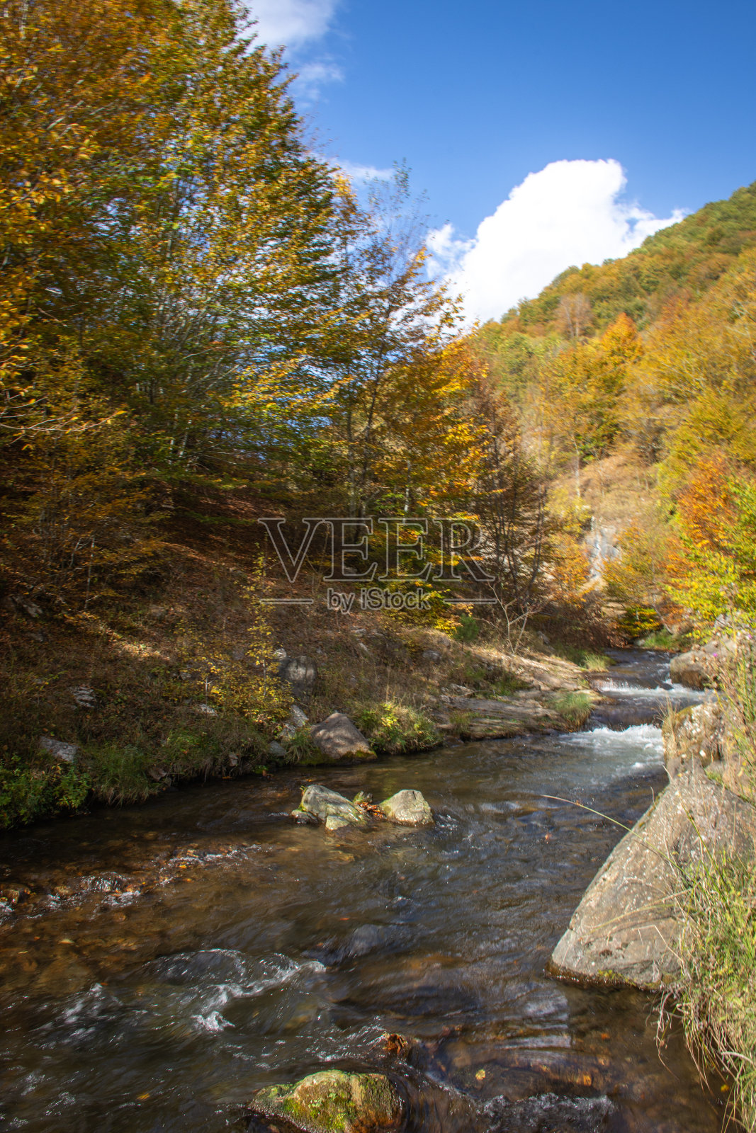 秋天的风景有小瀑布和河流在森林里。五彩缤纷的秋天森林。照片摄影图片