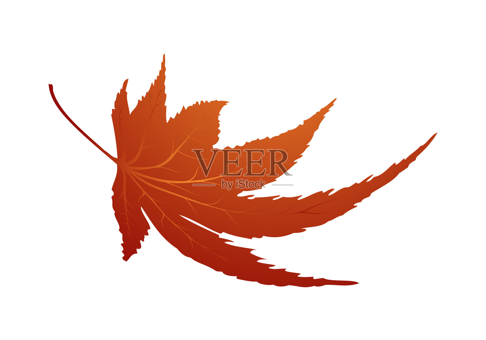 枫叶秋叶插画图片素材