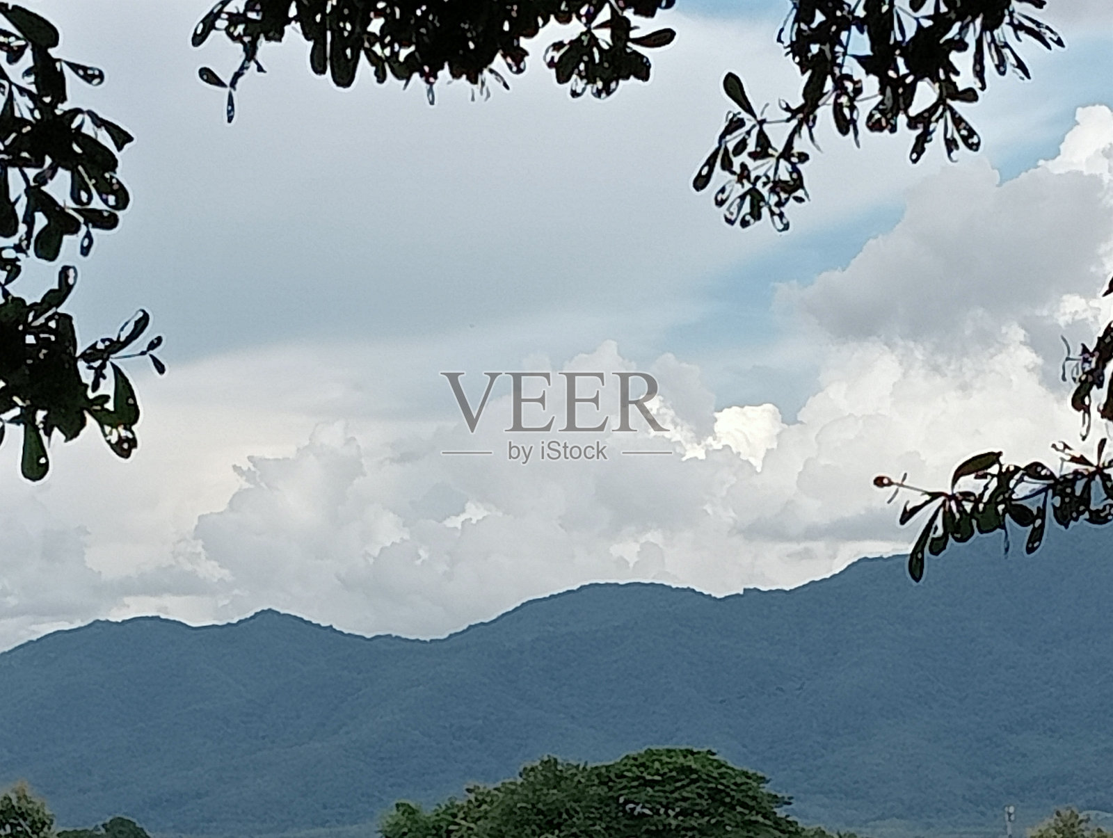 自然。照片摄影图片