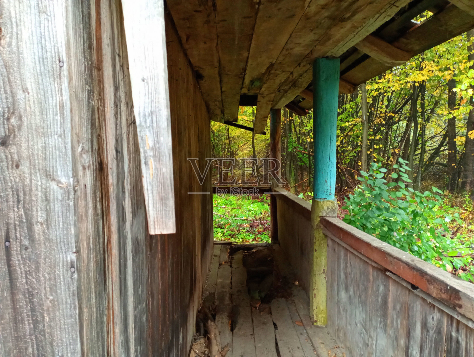 老房子附近的门廊被完全毁坏了。一座老森林房子的门廊。森林中树木和灌木丛中一座废弃房屋的内部。照片摄影图片