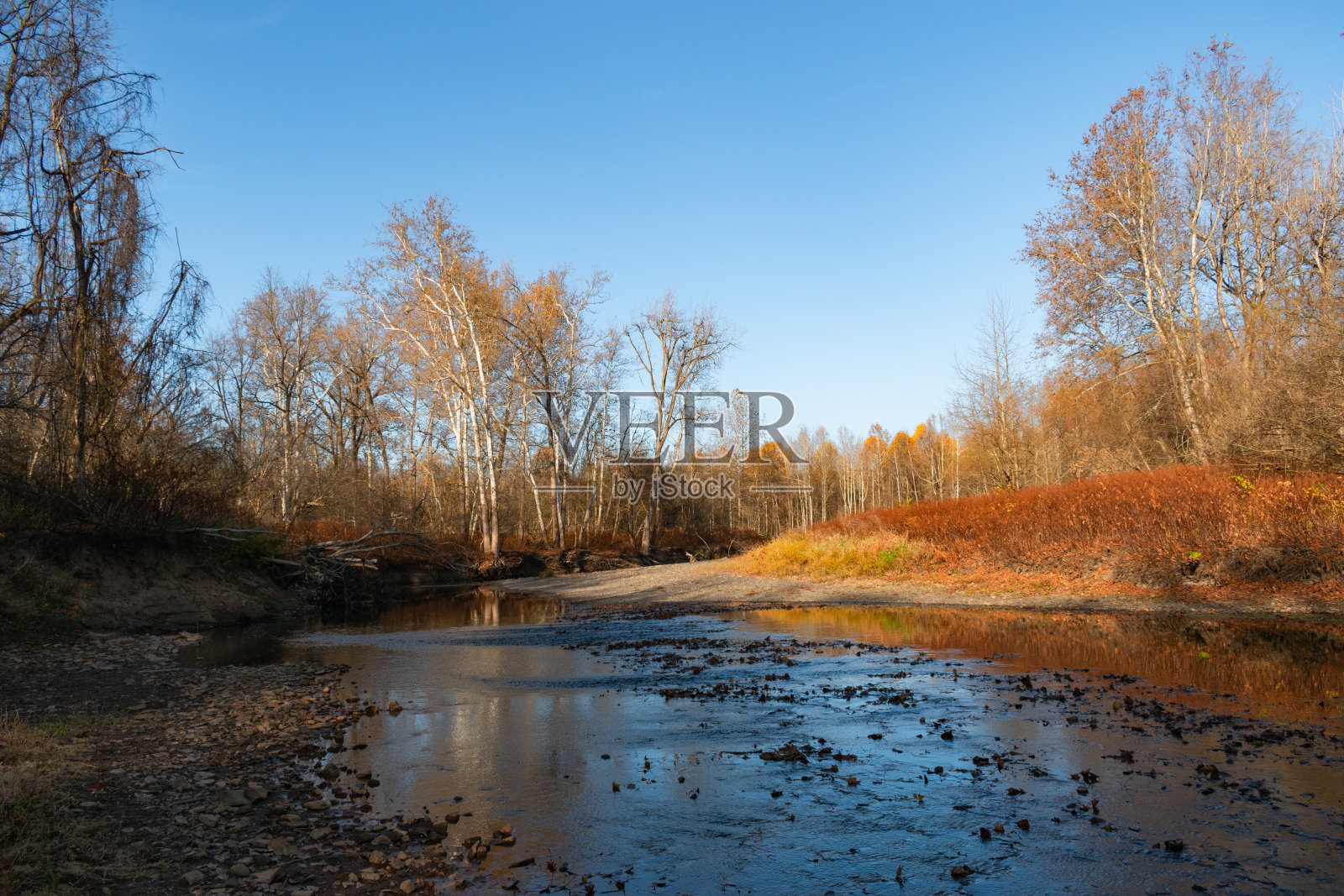 穿过秋林的河流照片摄影图片
