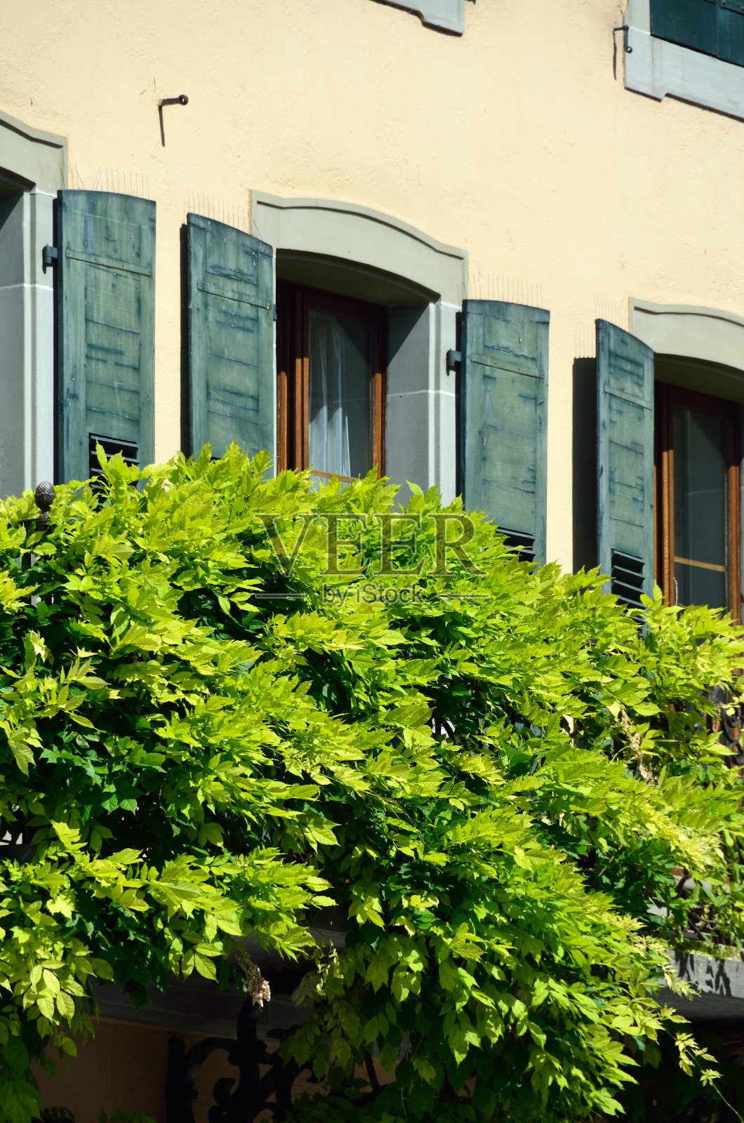 瑞士Lutry照片摄影图片