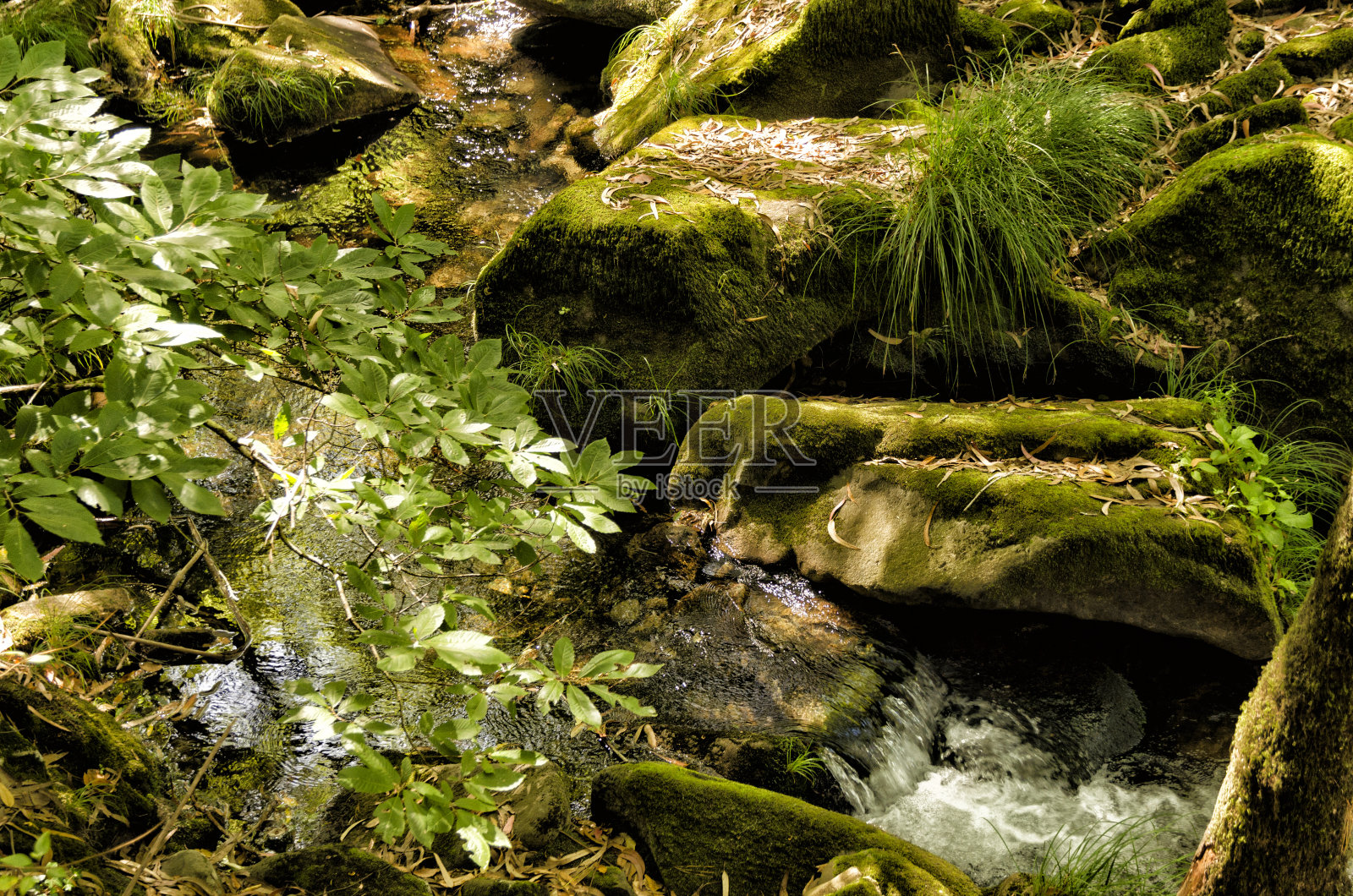 死亡海岸瀑布照片摄影图片