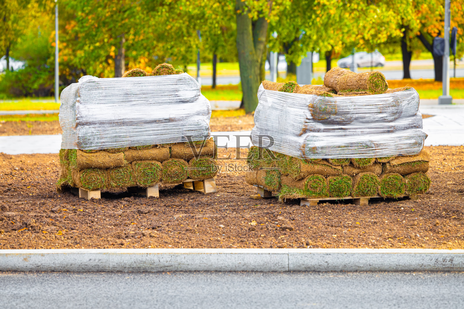在城市的木托盘上滚动草坪。照片摄影图片