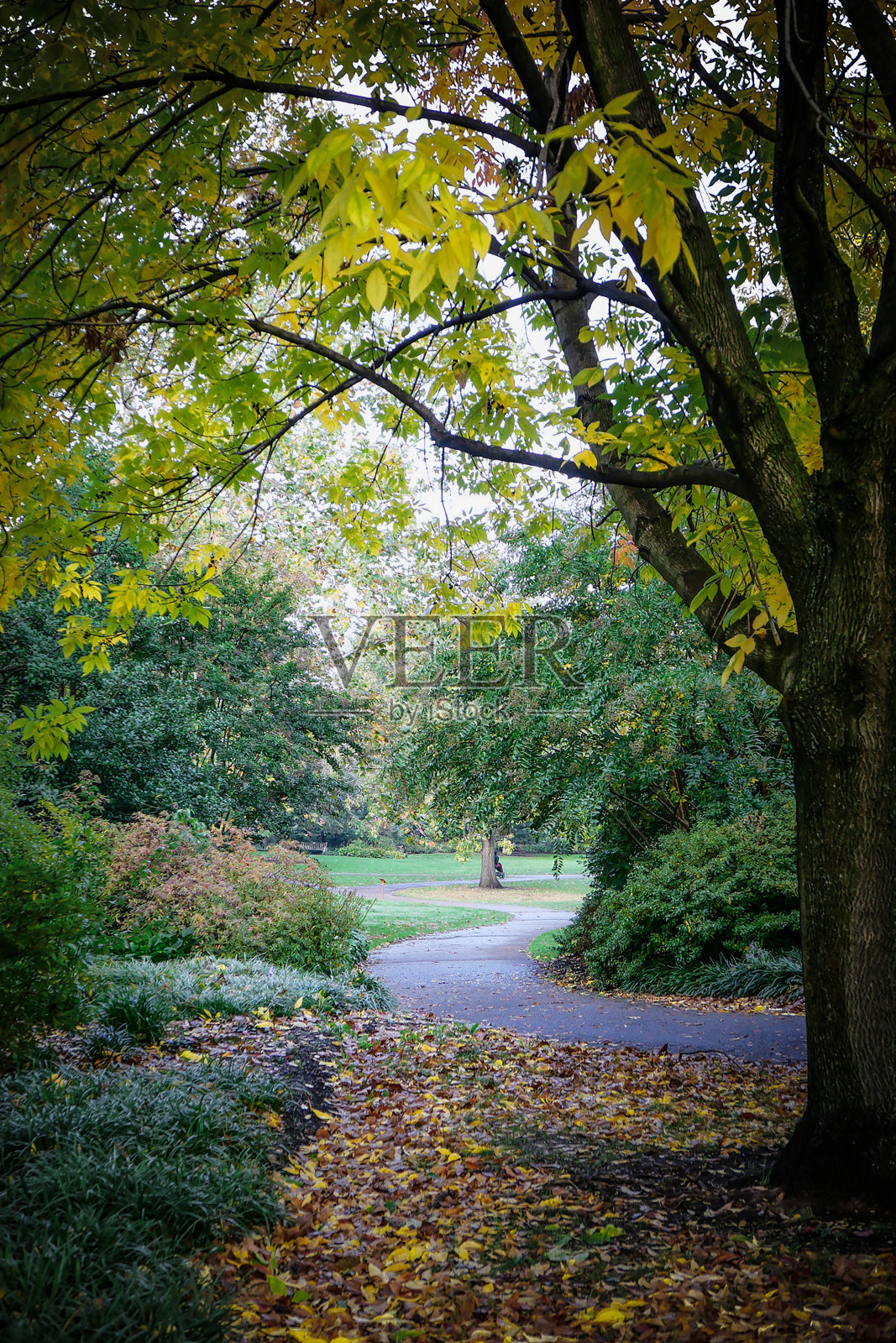 费城的秋天照片摄影图片