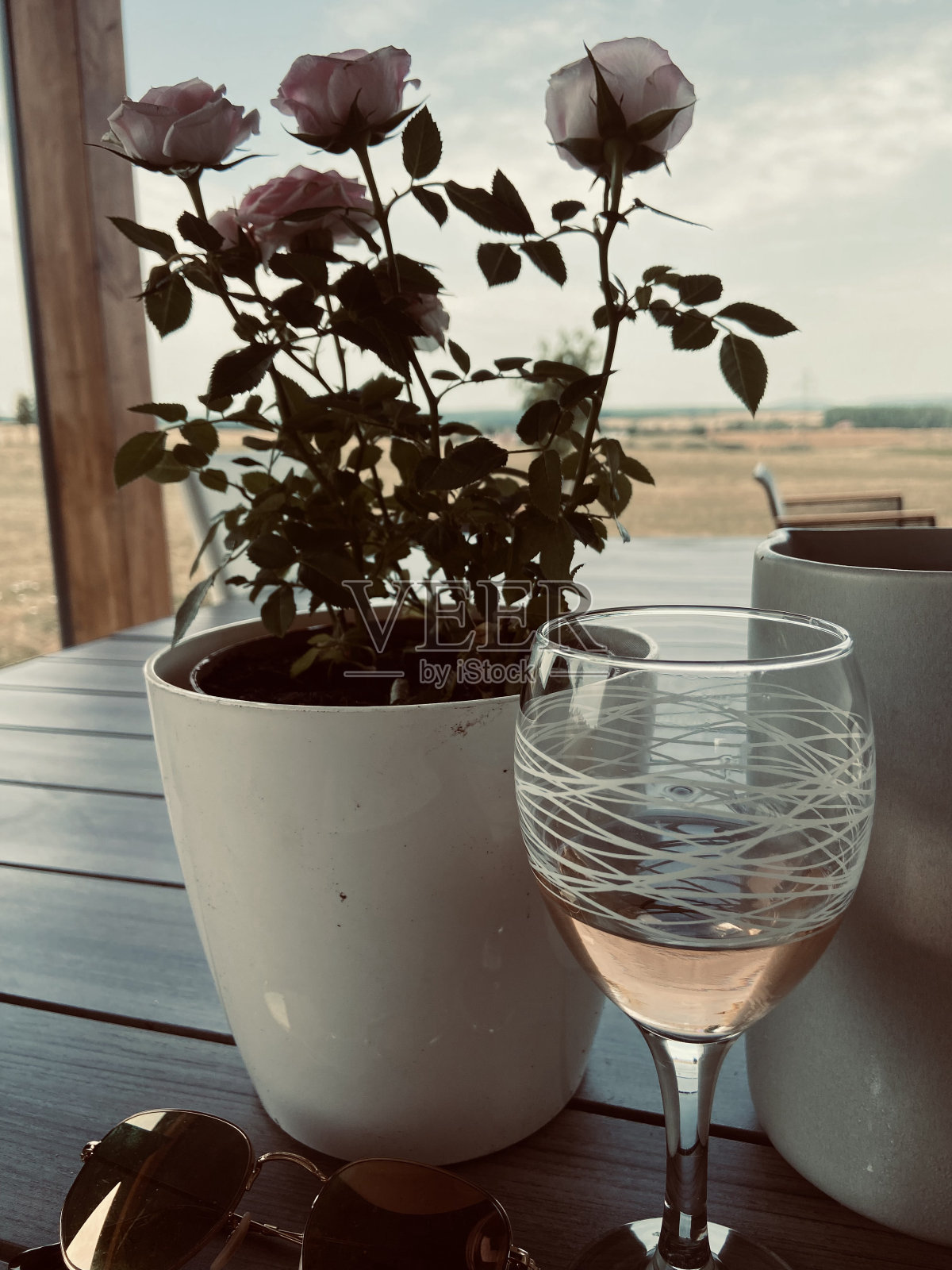 一盆玫瑰照片摄影图片