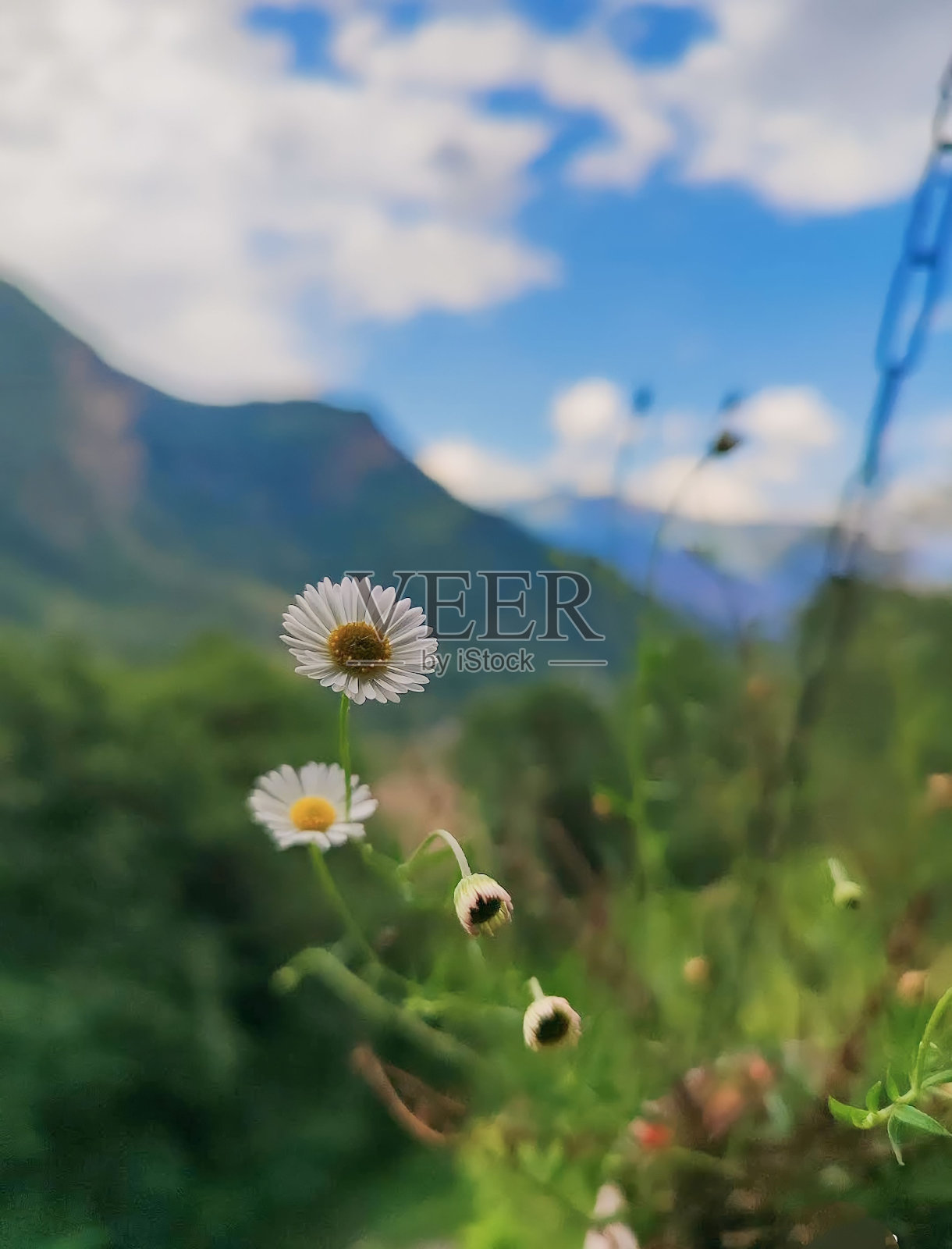 山的宁静照片摄影图片