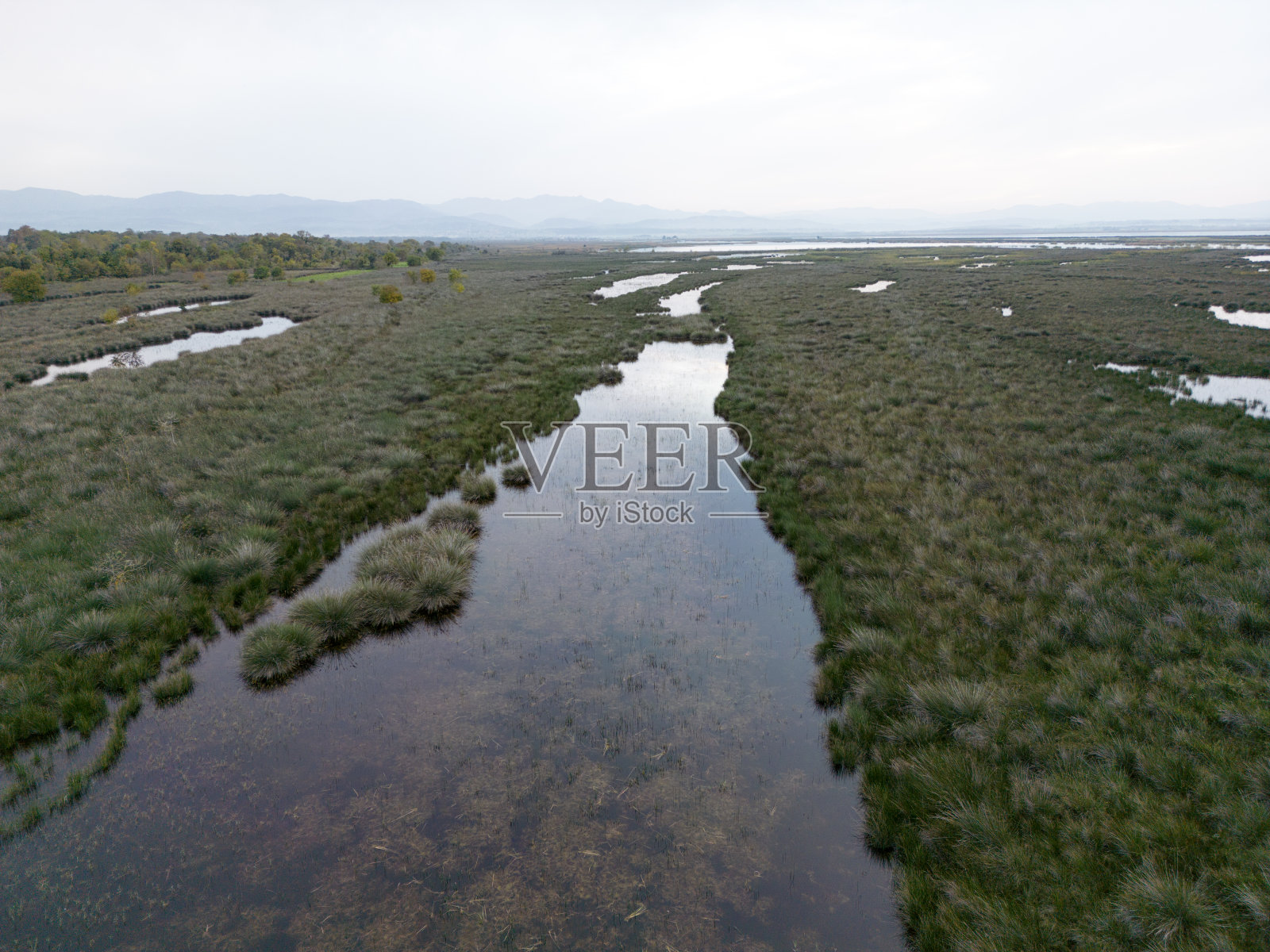 鸟的天堂自然在公园附近的湖和稻田照片摄影图片