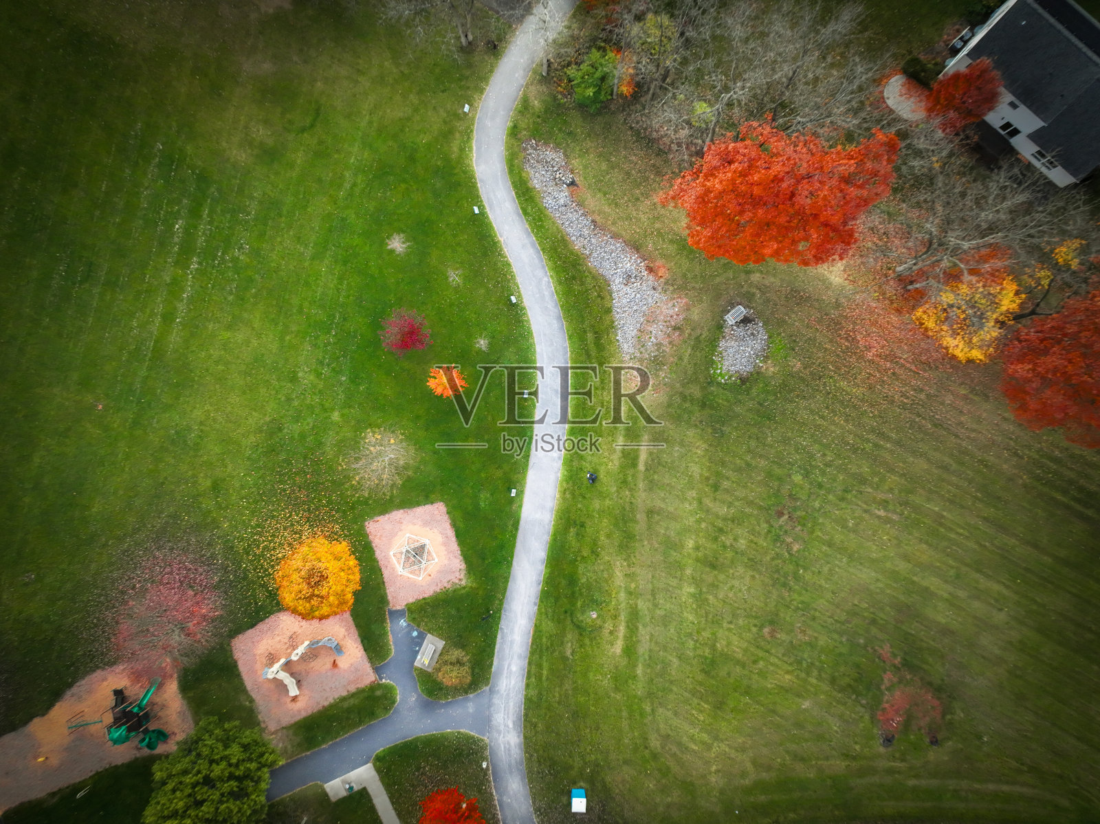 满是秋叶的院子照片摄影图片