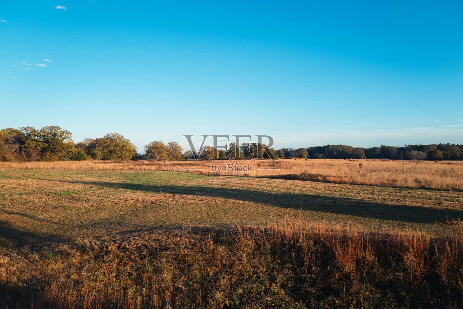 空旷的田野照片摄影图片
