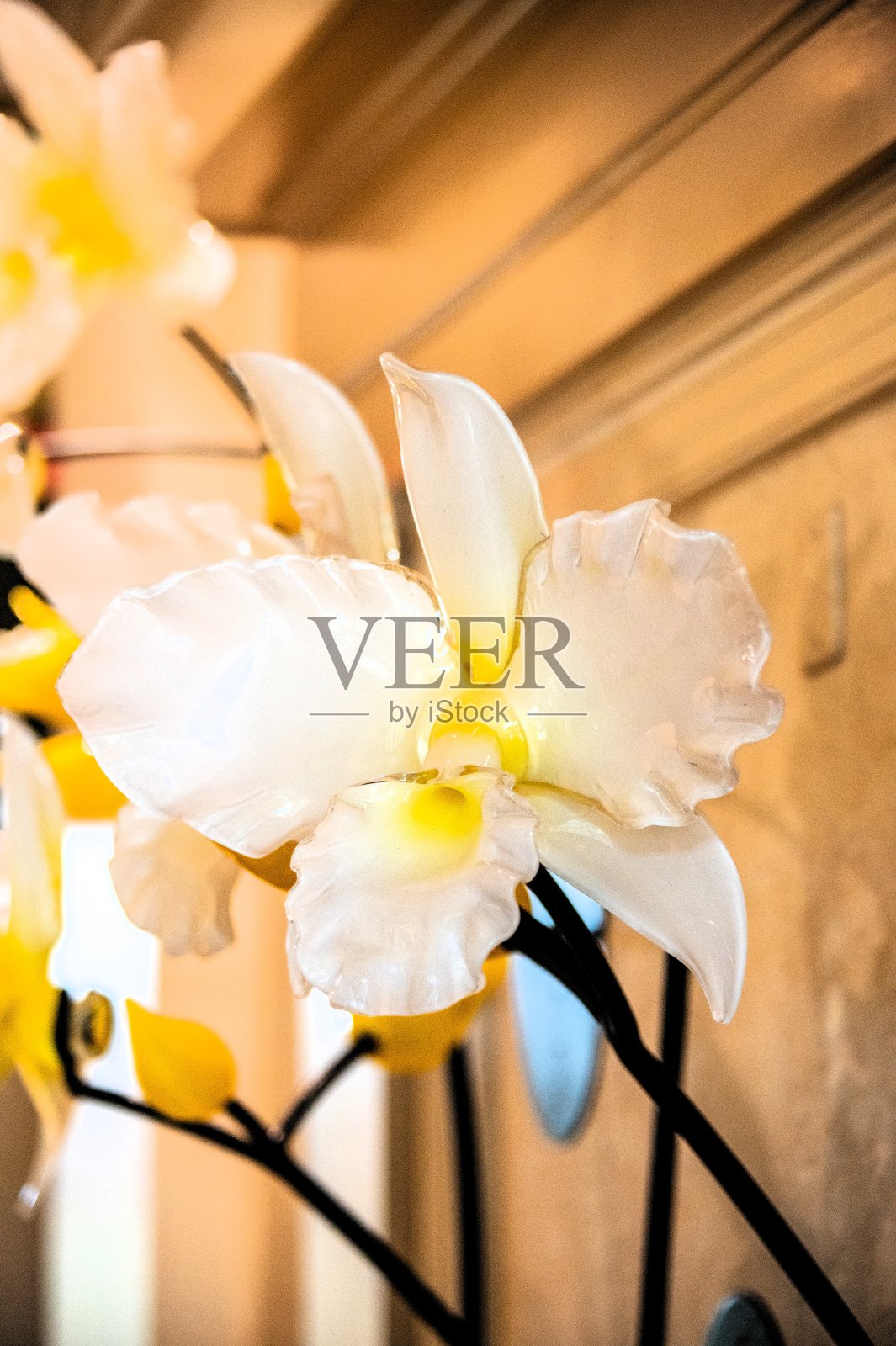 婚礼前婚礼场地的装饰照片摄影图片