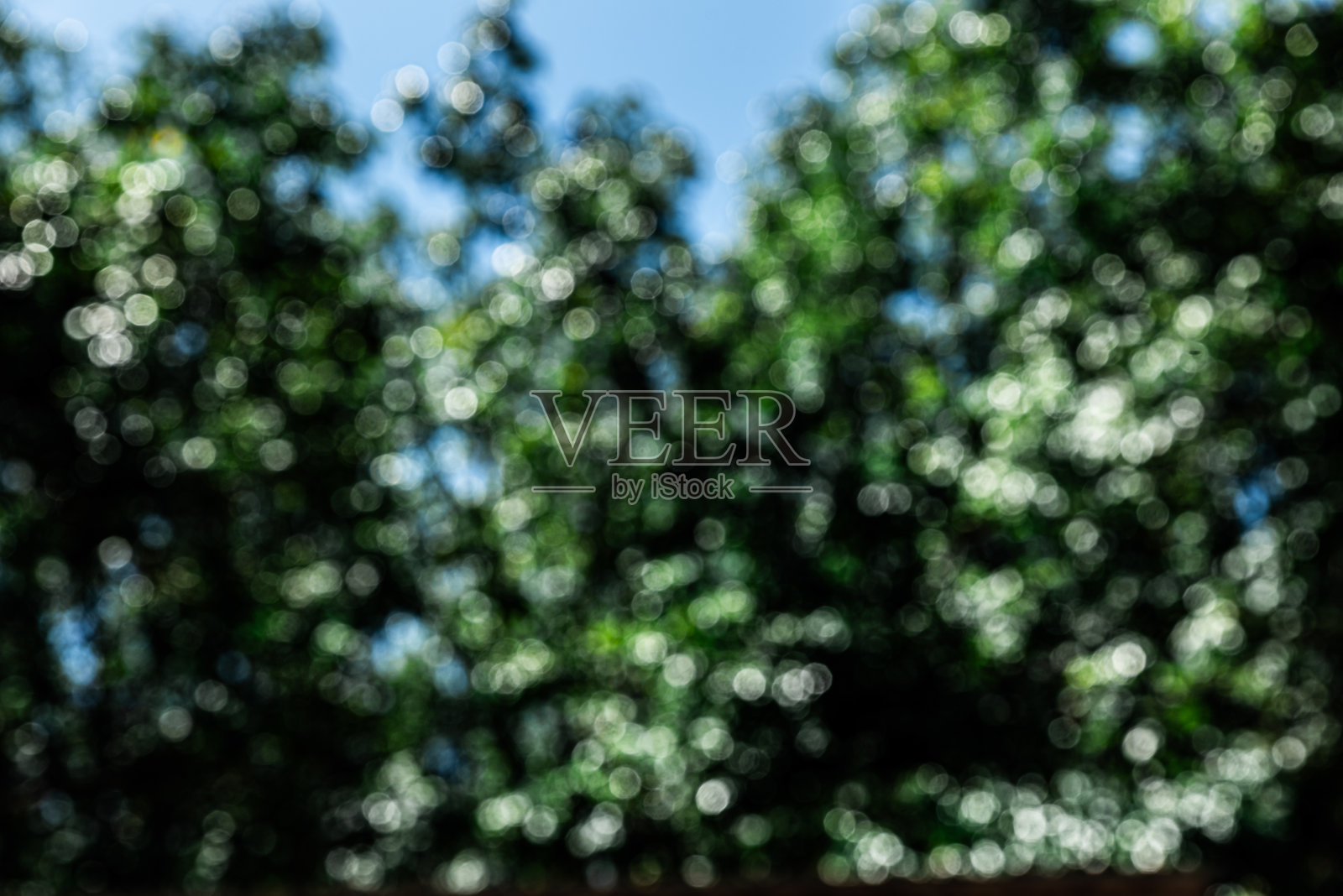 虚化的背景，美丽的色彩照片摄影图片