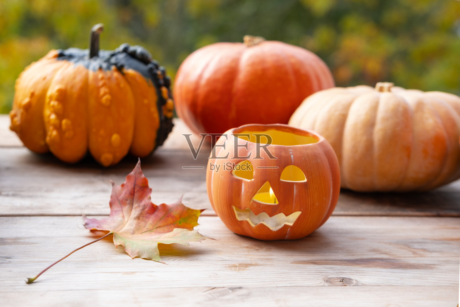 南瓜是秋季南瓜装饰不可或缺的一部分，黄叶，秋季装饰和创意，南瓜灯烛光，万圣节的秋季装饰照片摄影图片