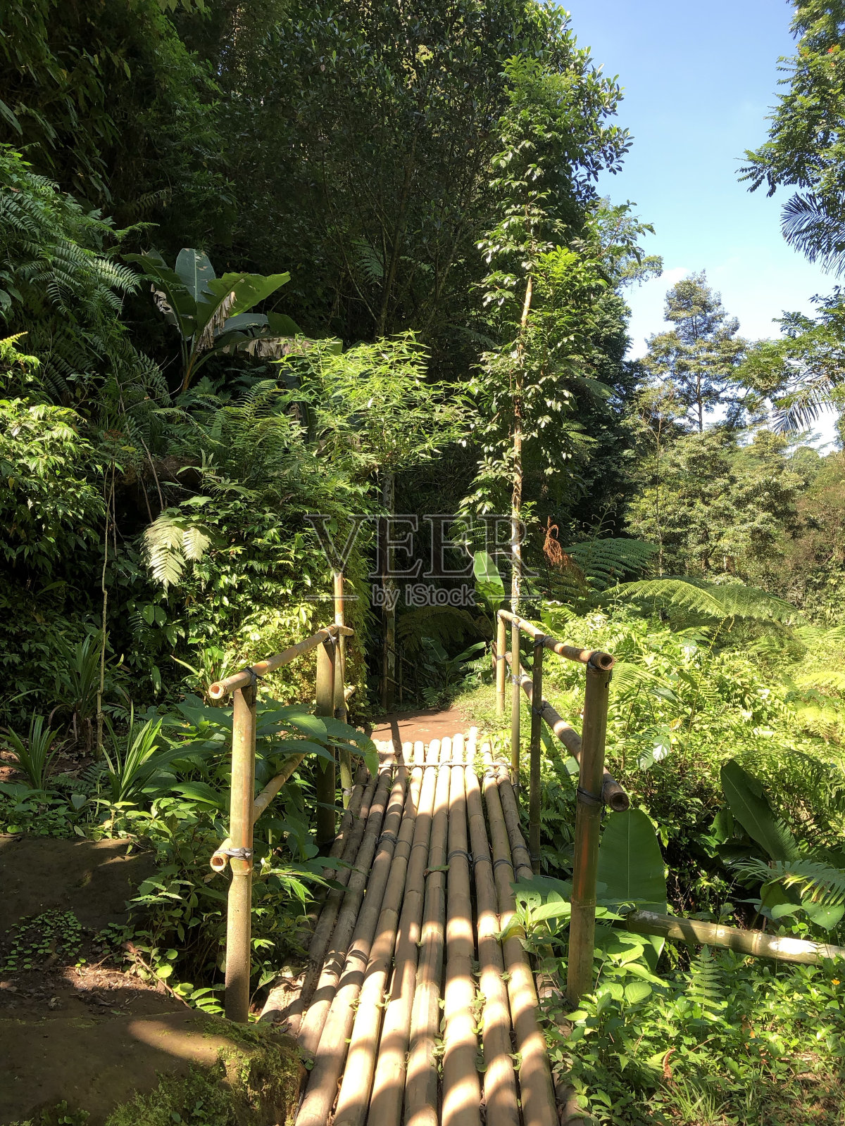 竹大桥照片摄影图片