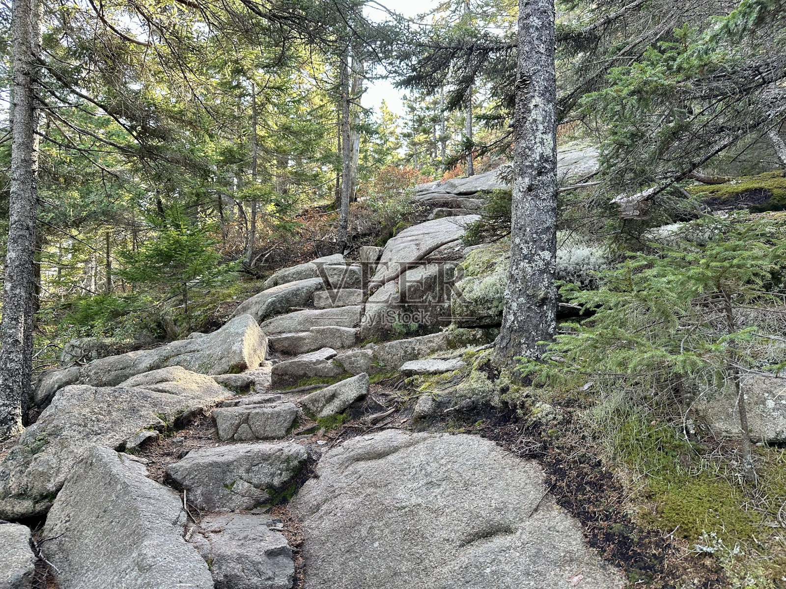 飞行山径，阿卡迪亚国家公园照片摄影图片