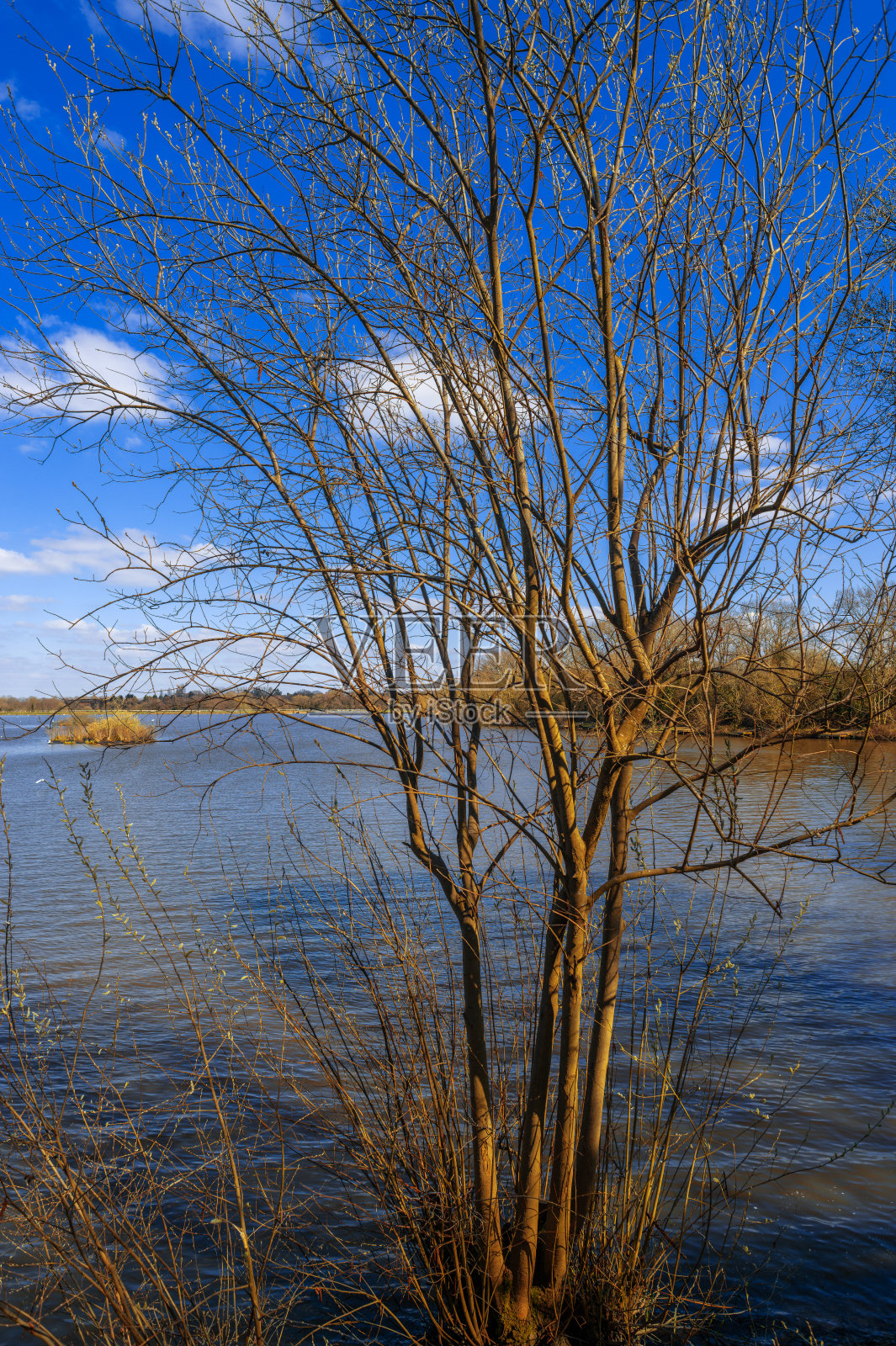 英国，英格兰，沃里克郡照片摄影图片