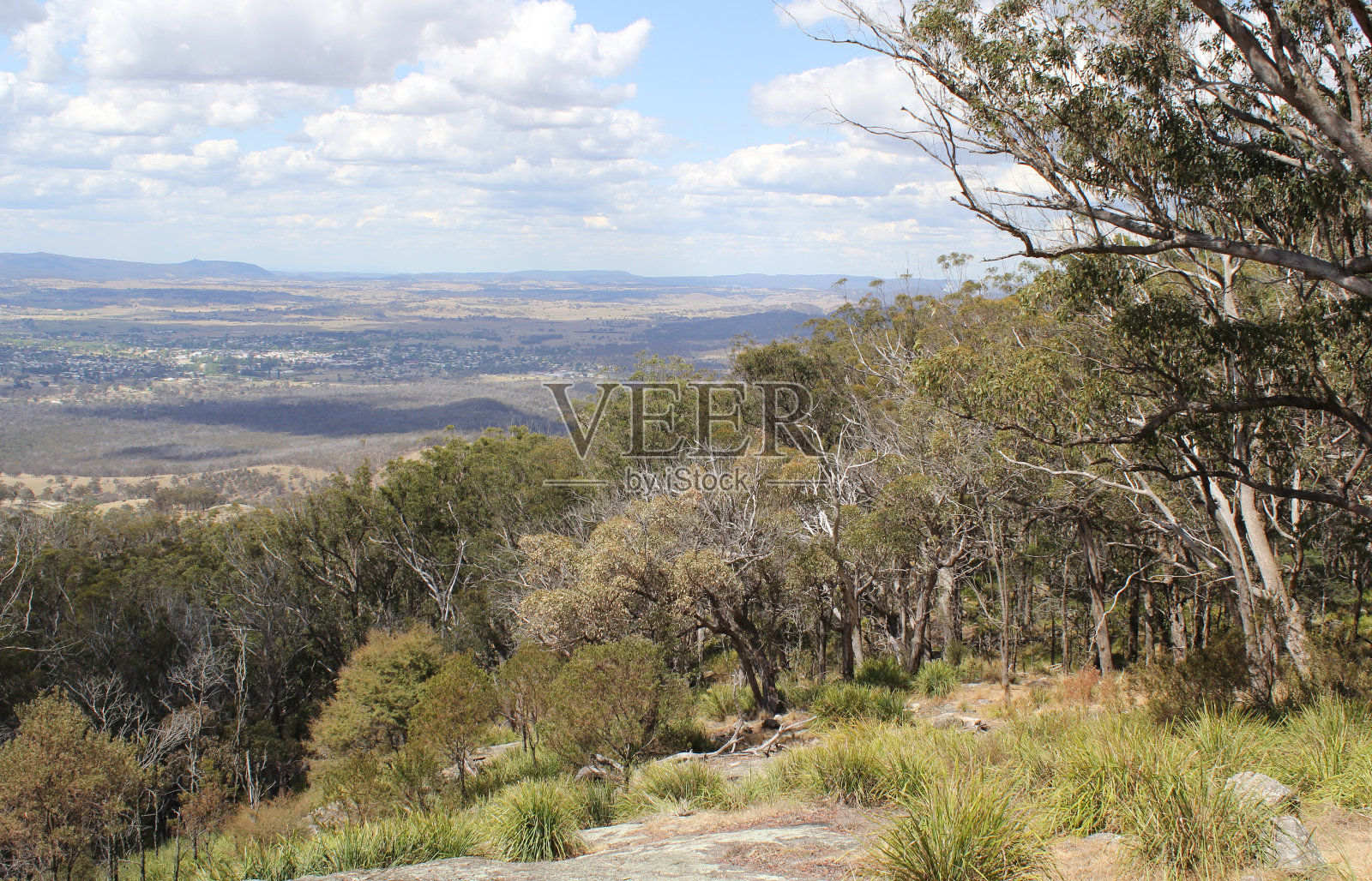 从澳大利亚新南威尔士州滕特菲尔德附近的麦肯齐山观景台观看澳大利亚丛林景观照片摄影图片
