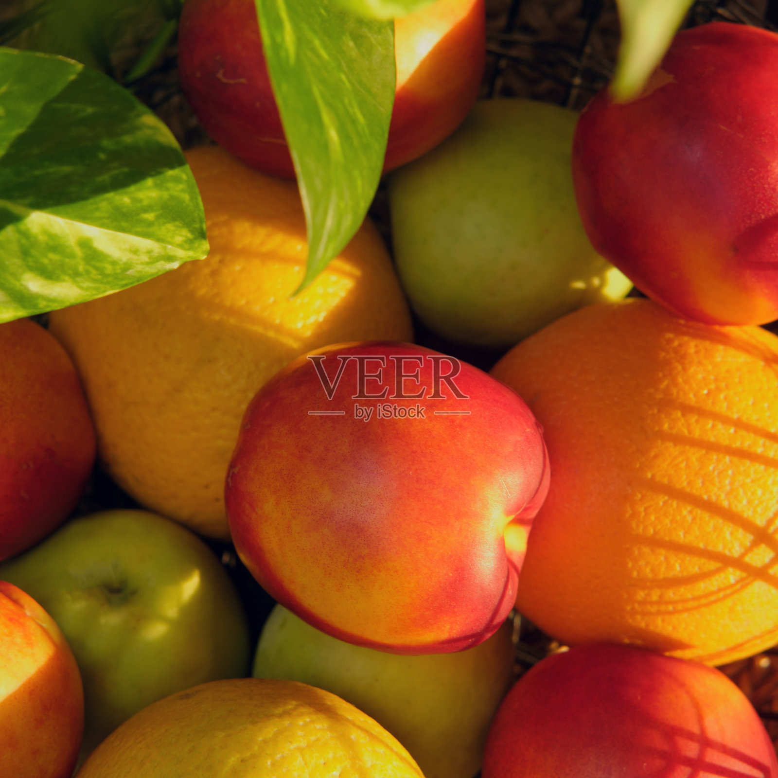 夕阳把那篮桔子和油桃照得更漂亮了，仿佛在温暖的阳光下闪闪发光照片摄影图片