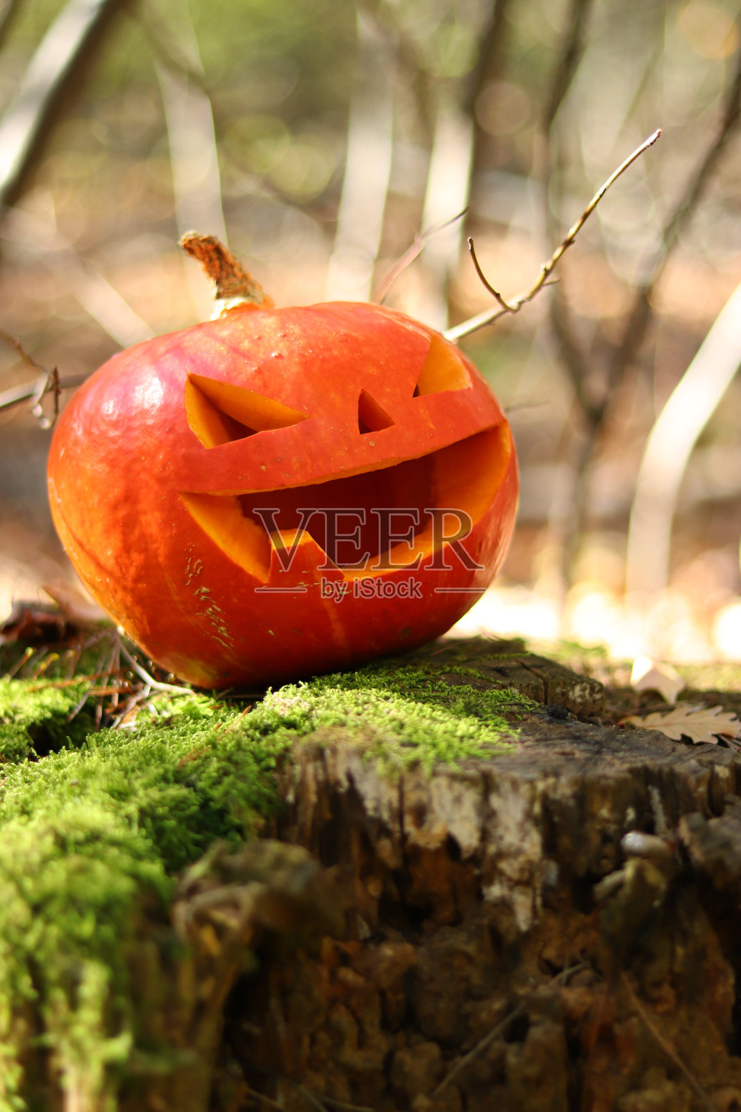 一个雕刻着笑脸的南瓜。万圣节照片摄影图片