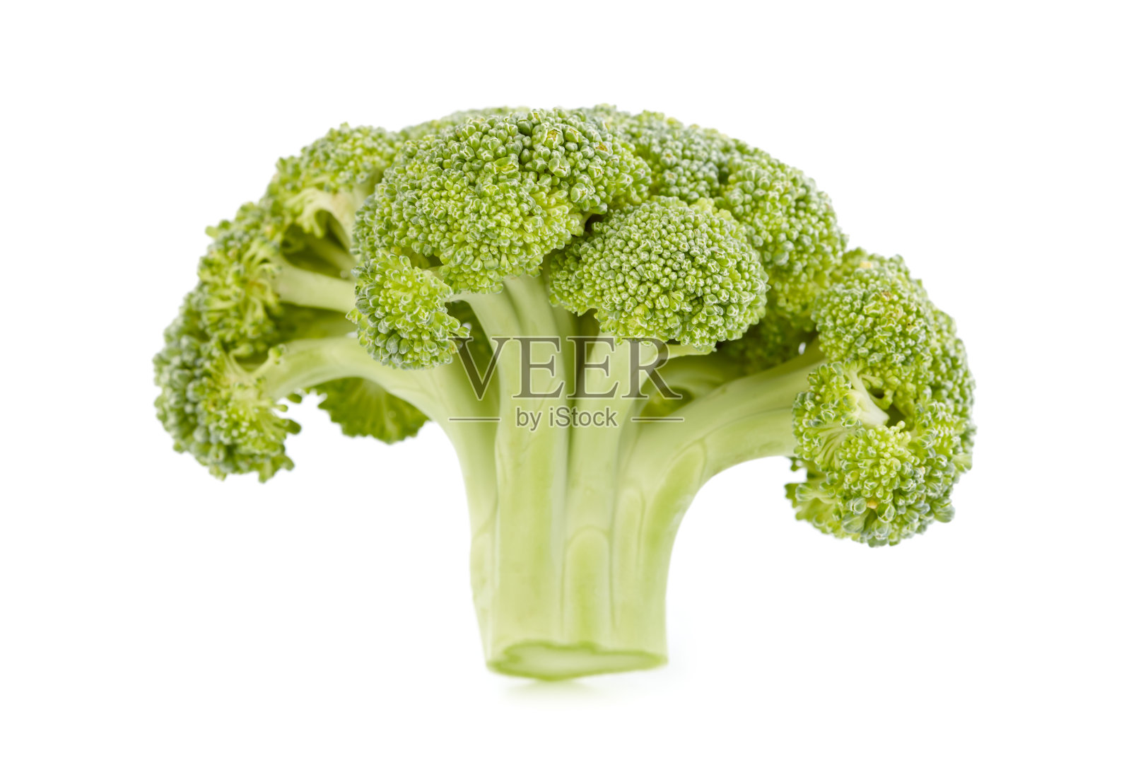 在白色背景上分离的西兰花。健康食品。饮食。绿色的。照片摄影图片