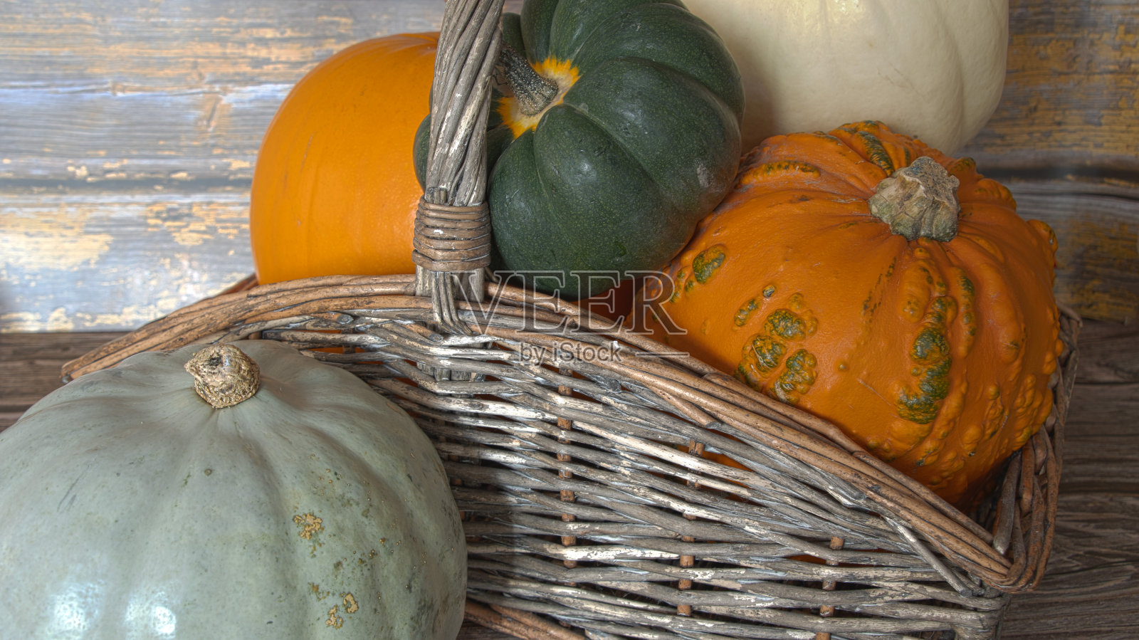 精选新鲜收获的南瓜照片摄影图片