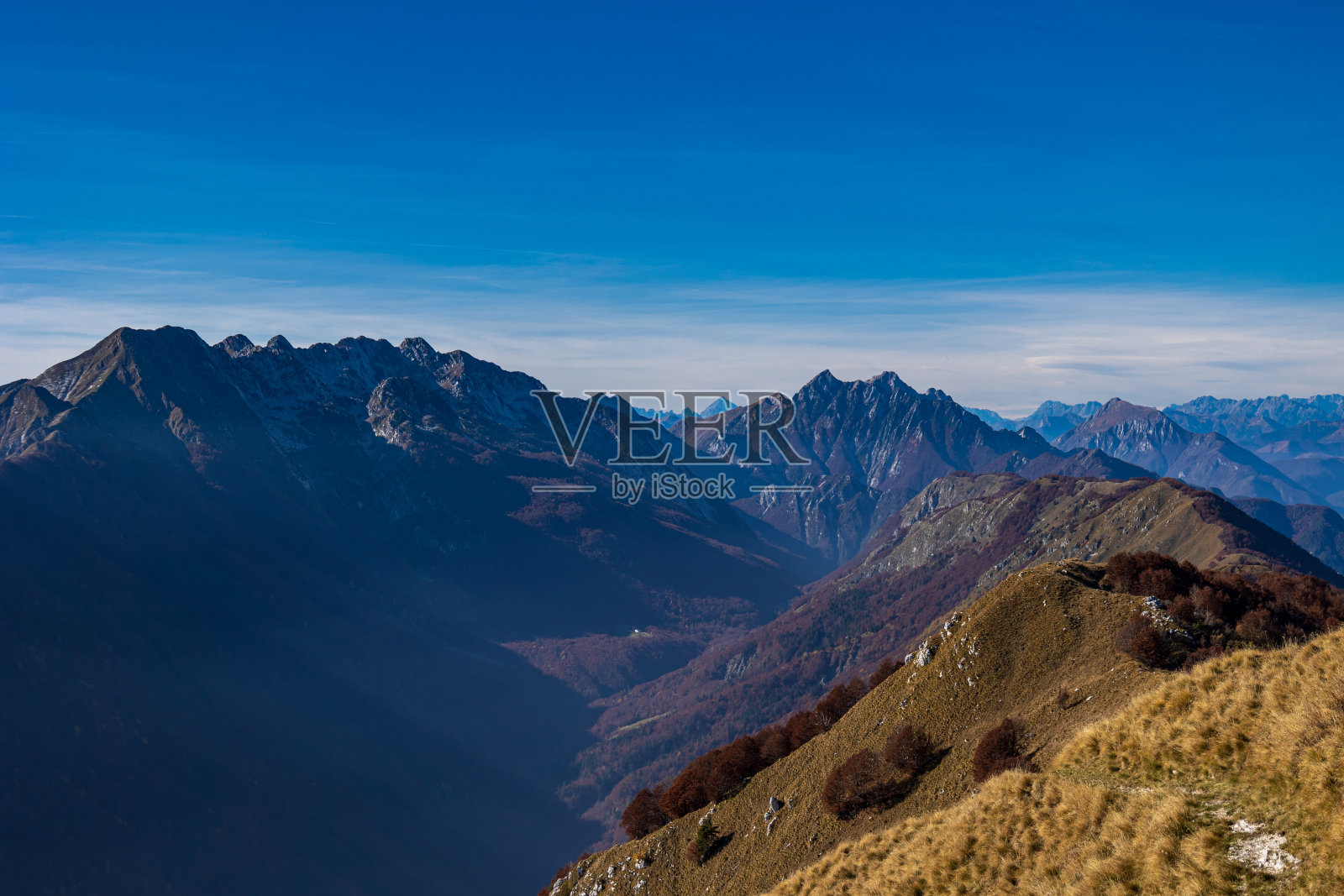 弗留利-威尼斯朱利亚的雷西亚山谷树林里的树叶照片摄影图片