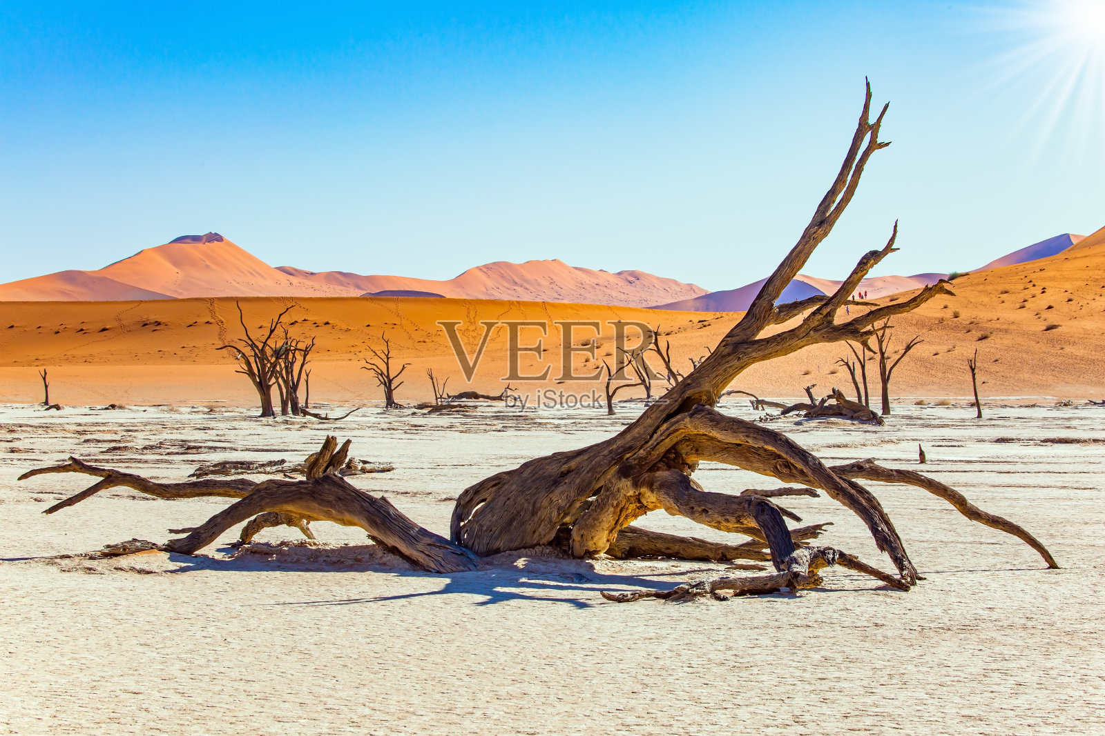 Deadvlei照片摄影图片