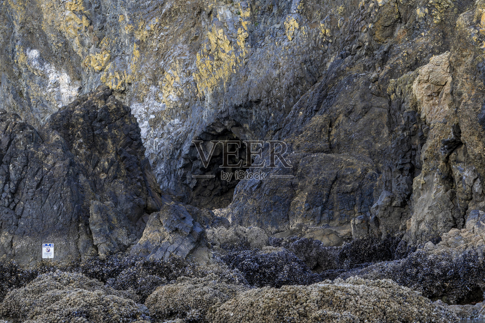 俄勒冈州坎农海滩照片摄影图片