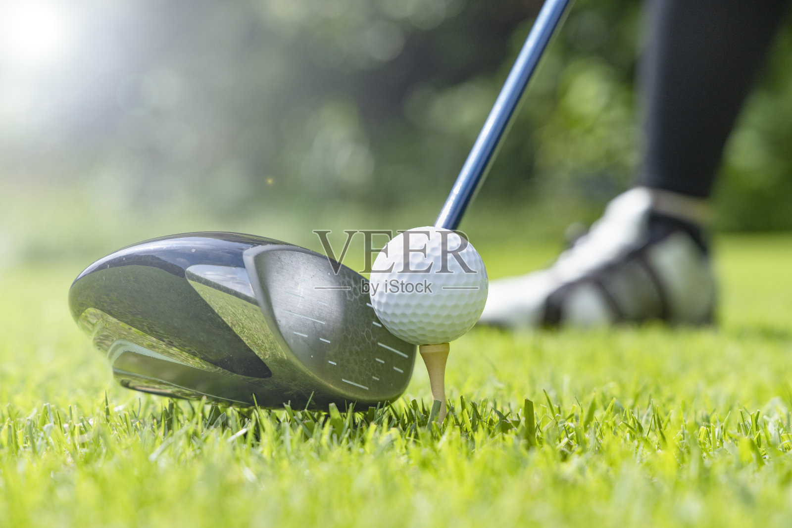 高尔夫球场，绿意盎然照片摄影图片
