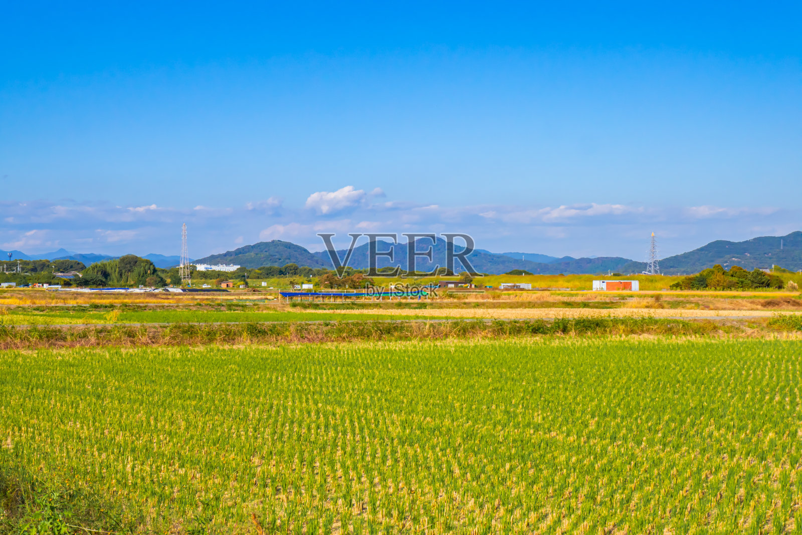 日本田野风光照片摄影图片