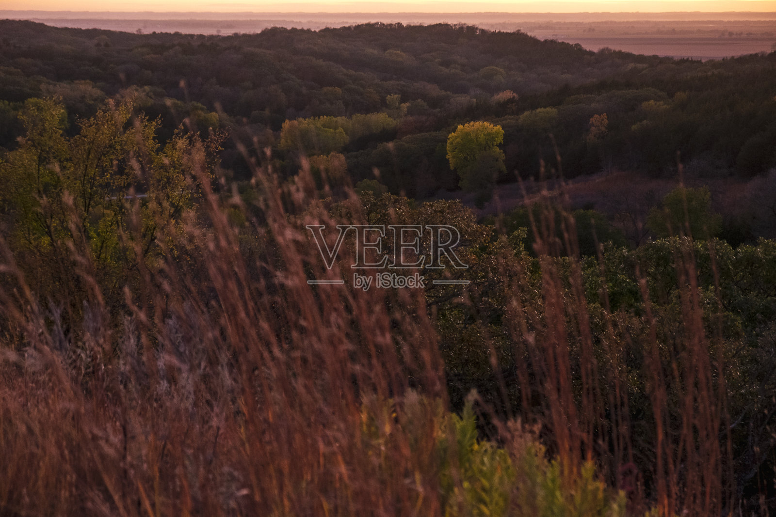 美国爱荷华州西部黄土丘陵的秋天色彩照片摄影图片