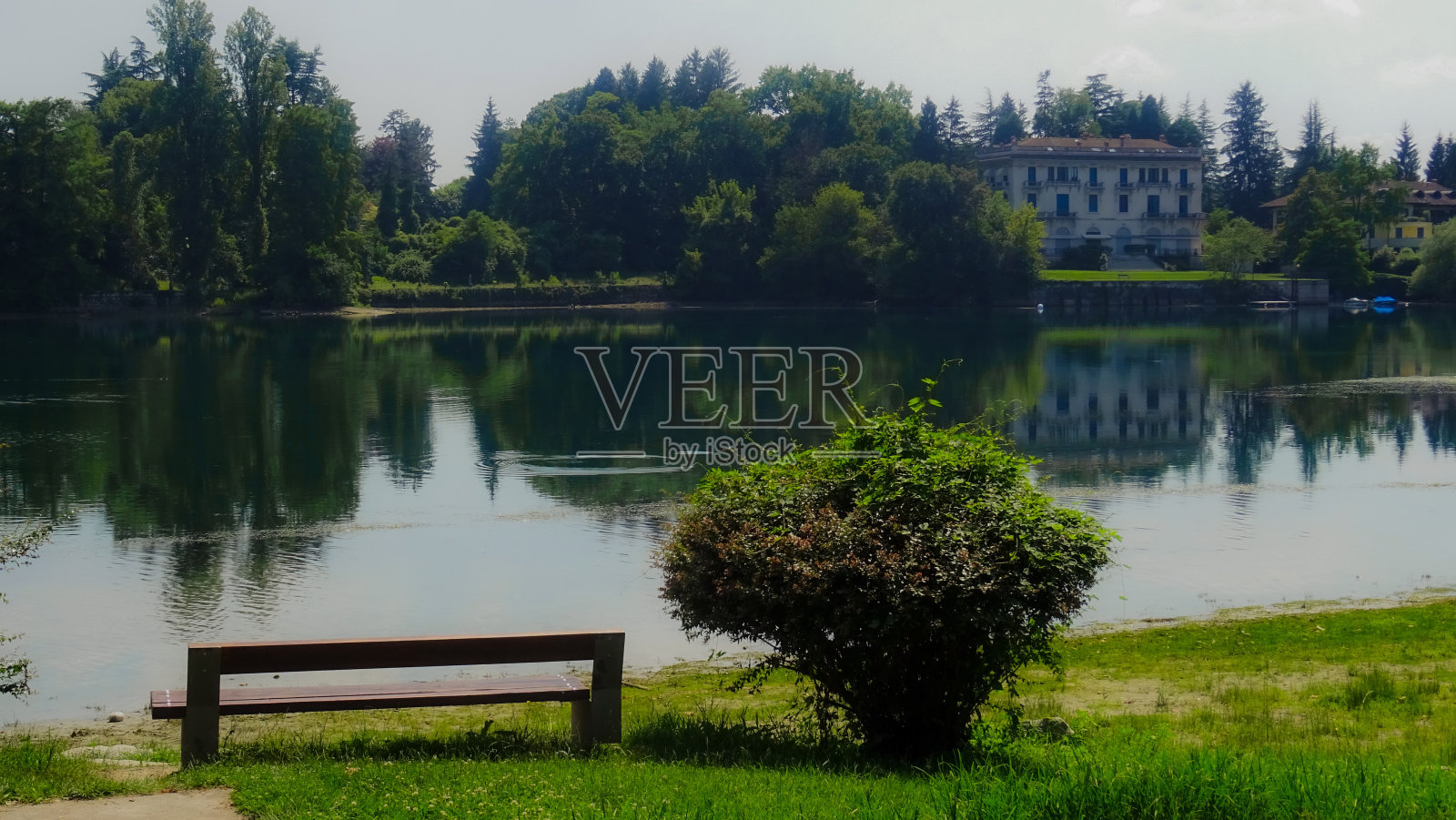 意大利，马焦雷湖(Lago Maggiore)，一张田园诗般的公园长椅和一棵小树。照片摄影图片