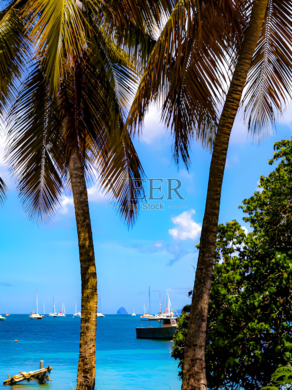 法国加勒比海照片摄影图片