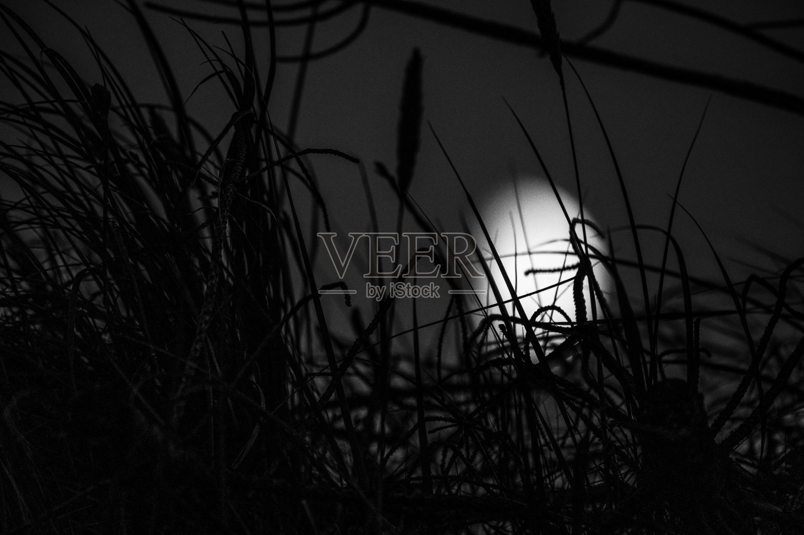 沙丘上的月亮照片摄影图片