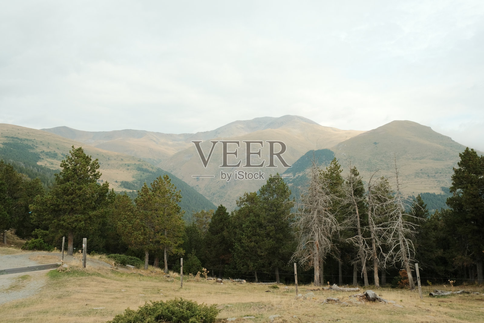 山景照片摄影图片