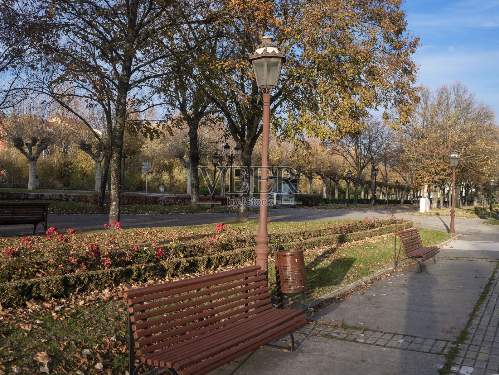 布尔戈斯首都的一个公园里壮观的日落。秋天的长椅被树叶包围着照片摄影图片