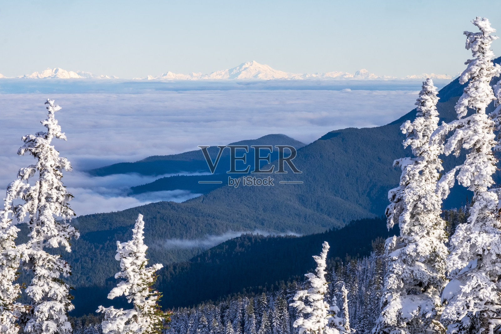 美国华盛顿州奥林匹克国家公园飓风岭的雪景照片摄影图片