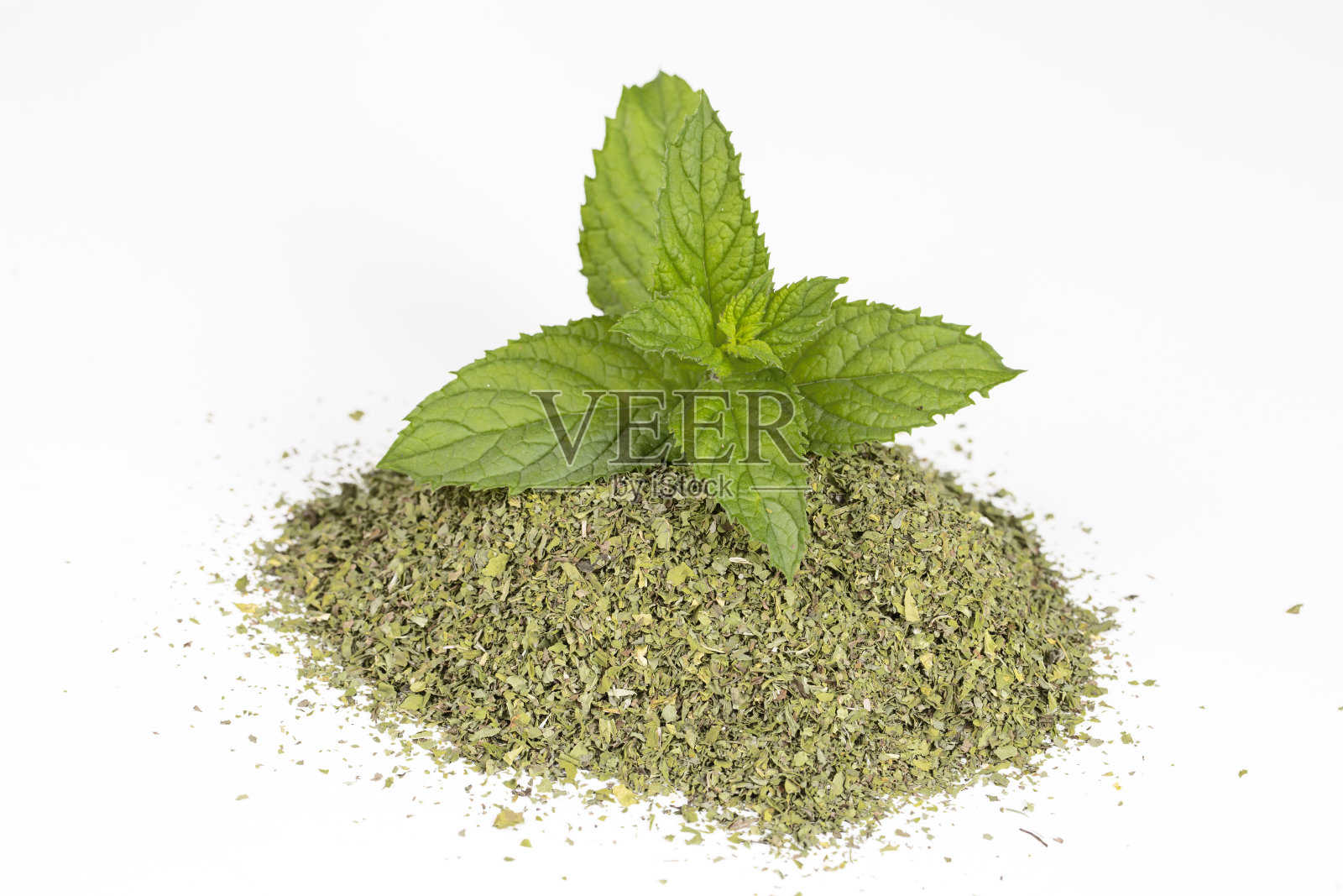 干薄荷和绿色新鲜薄荷分离照片摄影图片