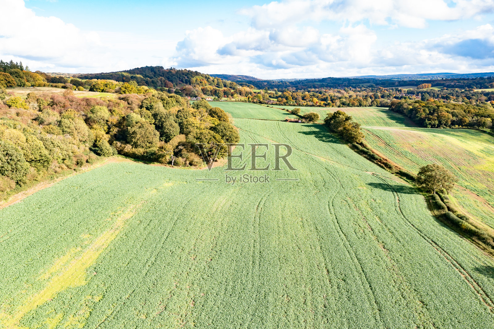 英格兰萨里郡吉尔福德附近的教堂区照片摄影图片
