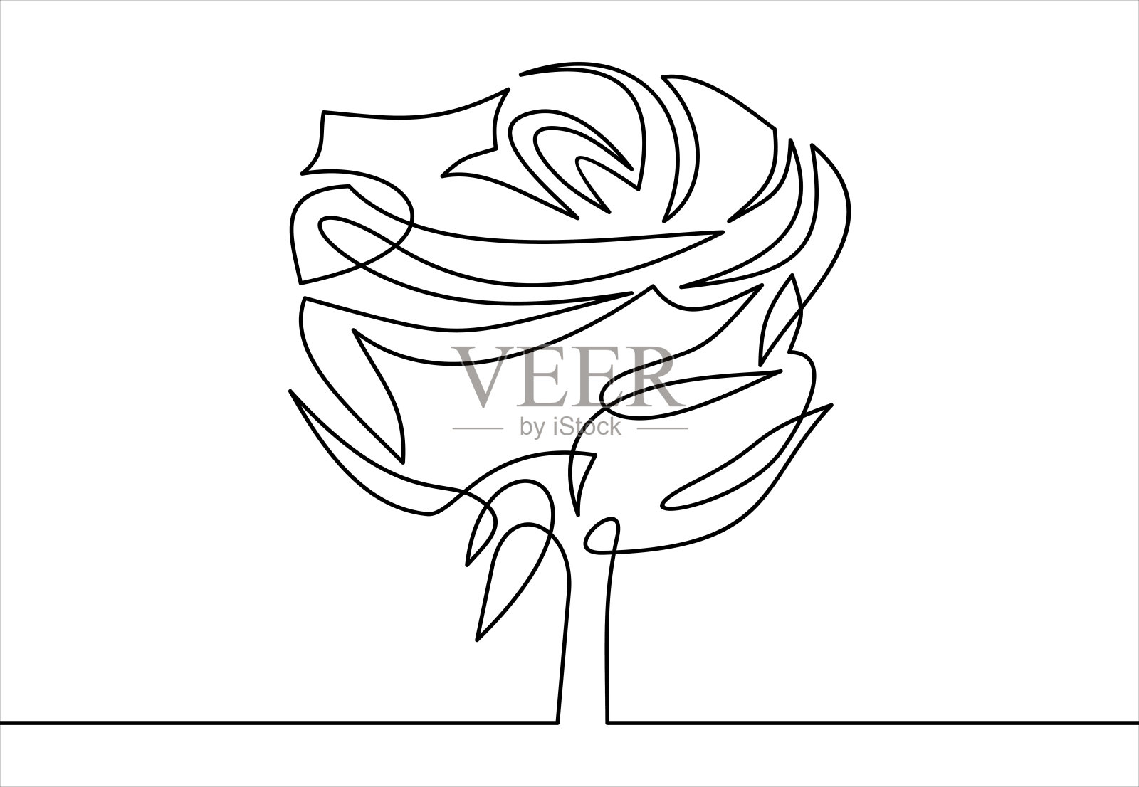 矢量玫瑰花-连续线绘制插画图片素材