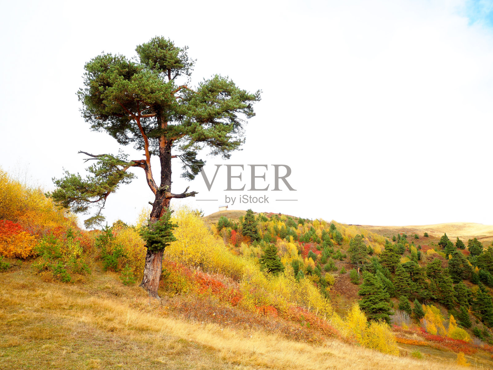 乔治亚州风景照片摄影图片