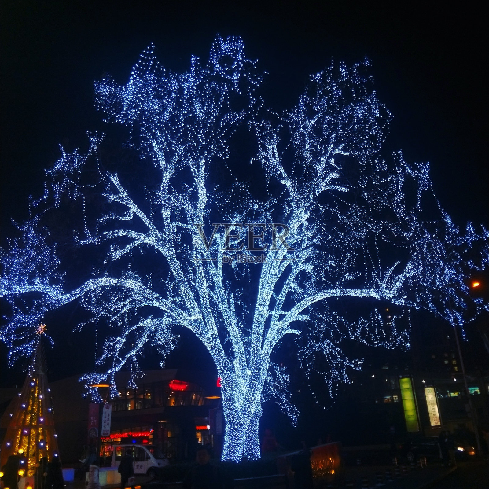 照明树照片摄影图片