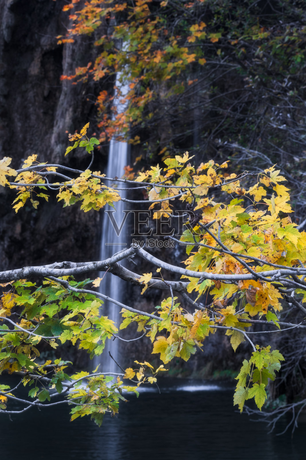 透明的照片摄影图片