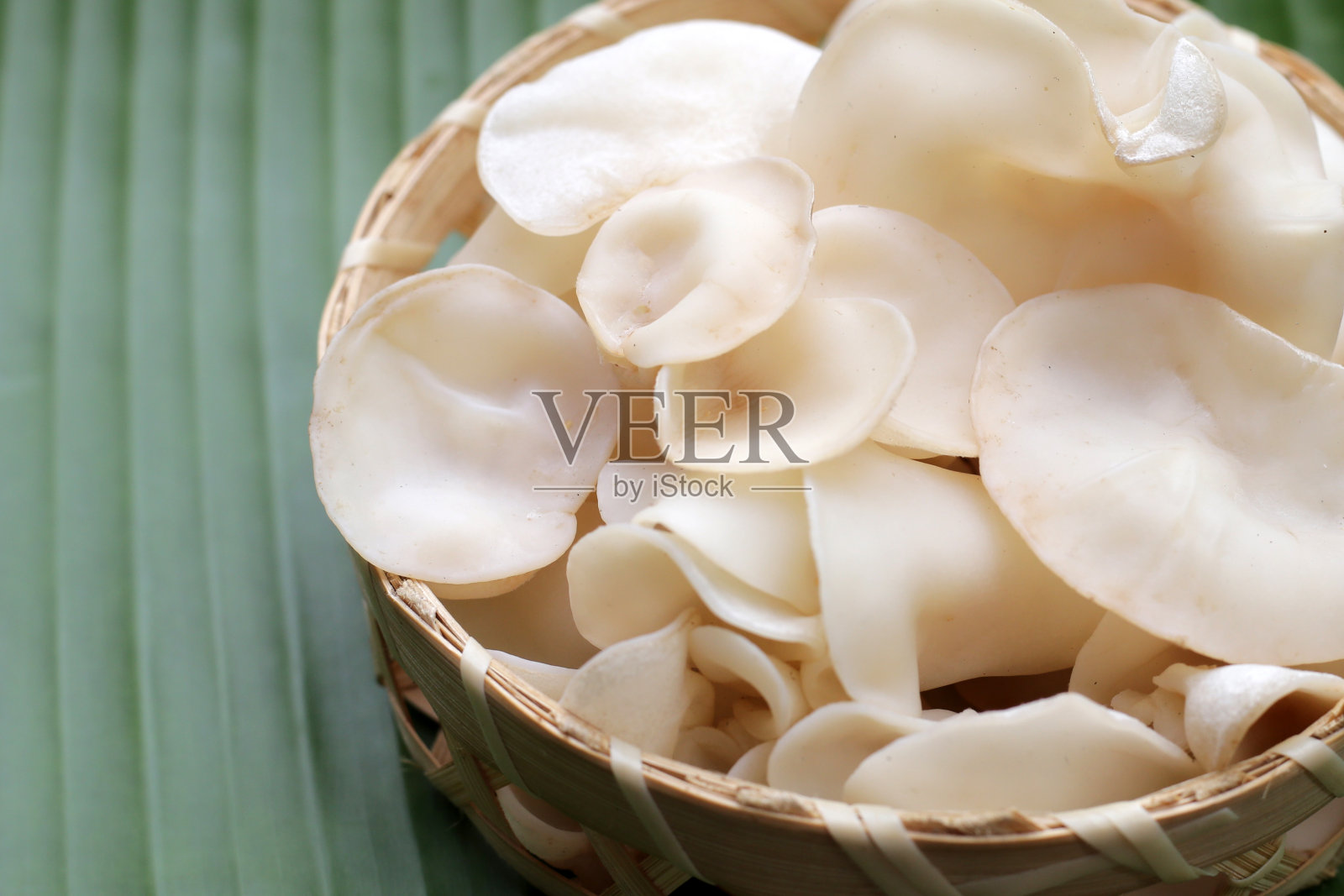 白果冻菇或白耳菇照片摄影图片