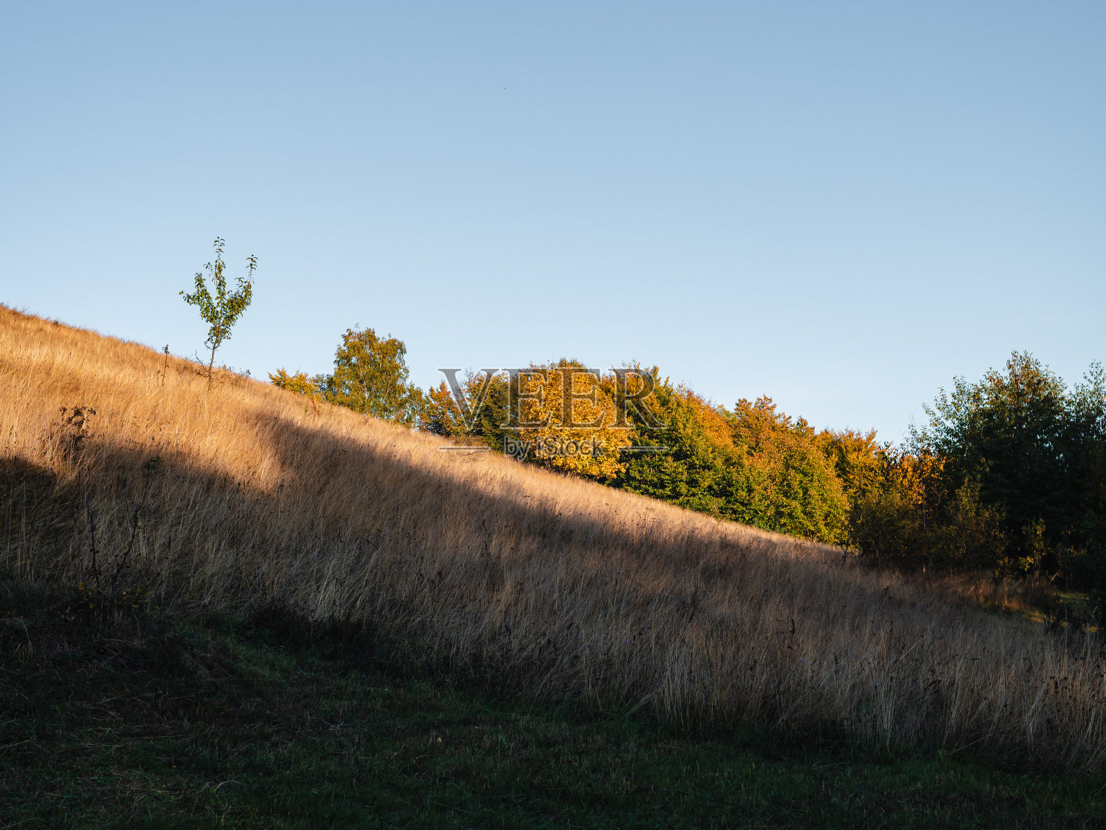村庄在喀尔巴阡地区风景秀丽的喀尔巴阡山脉观赏乌克兰欧洲秋季乡村景观休闲照片摄影图片