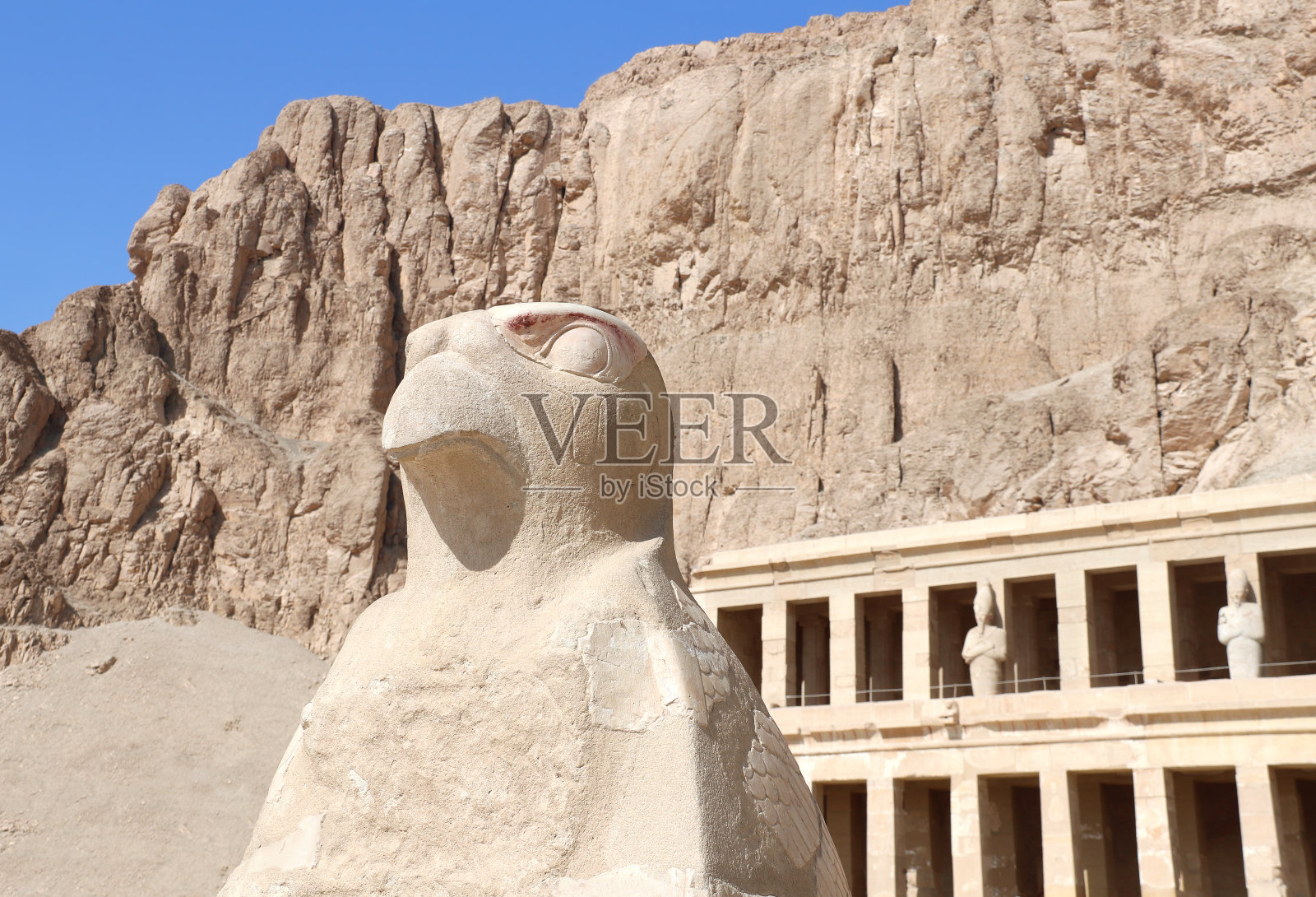 埃及卢克索帝王谷哈特谢普苏特神庙猎鹰雕像照片摄影图片